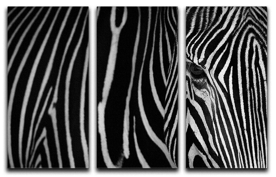 Zebra Pattern 3 Split Panel Canvas Print showcasing a striking zebra design across three panels.