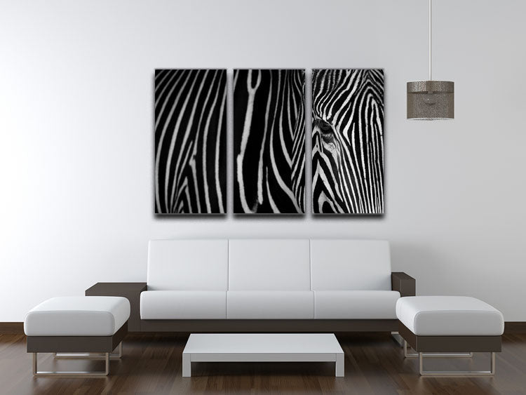 Zebra Pattern 3 Split Panel Canvas Print showcasing a striking zebra design across three panels.