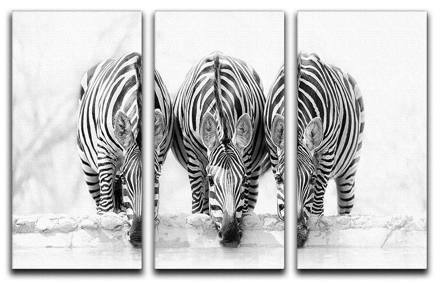 A beautiful 3-panel canvas print featuring zebras drinking, showcasing vibrant colors and intricate details.