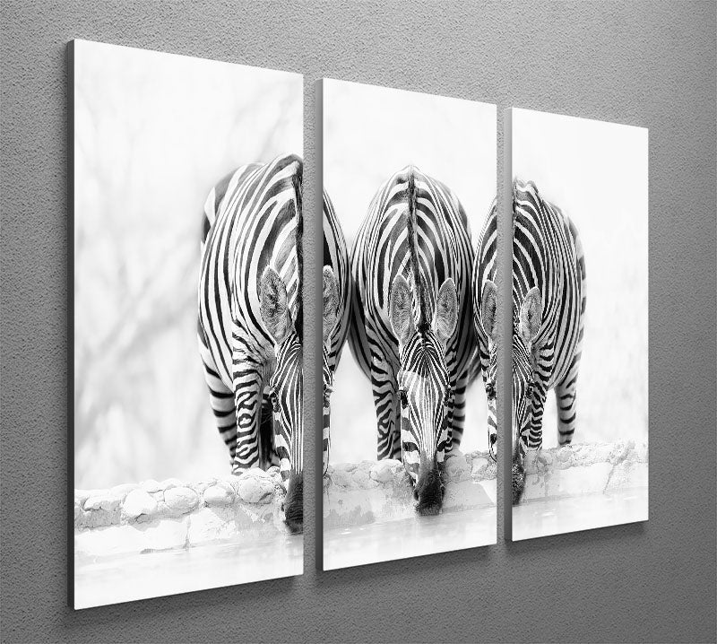 A beautiful 3-panel canvas print featuring zebras drinking, showcasing vibrant colors and intricate details.
