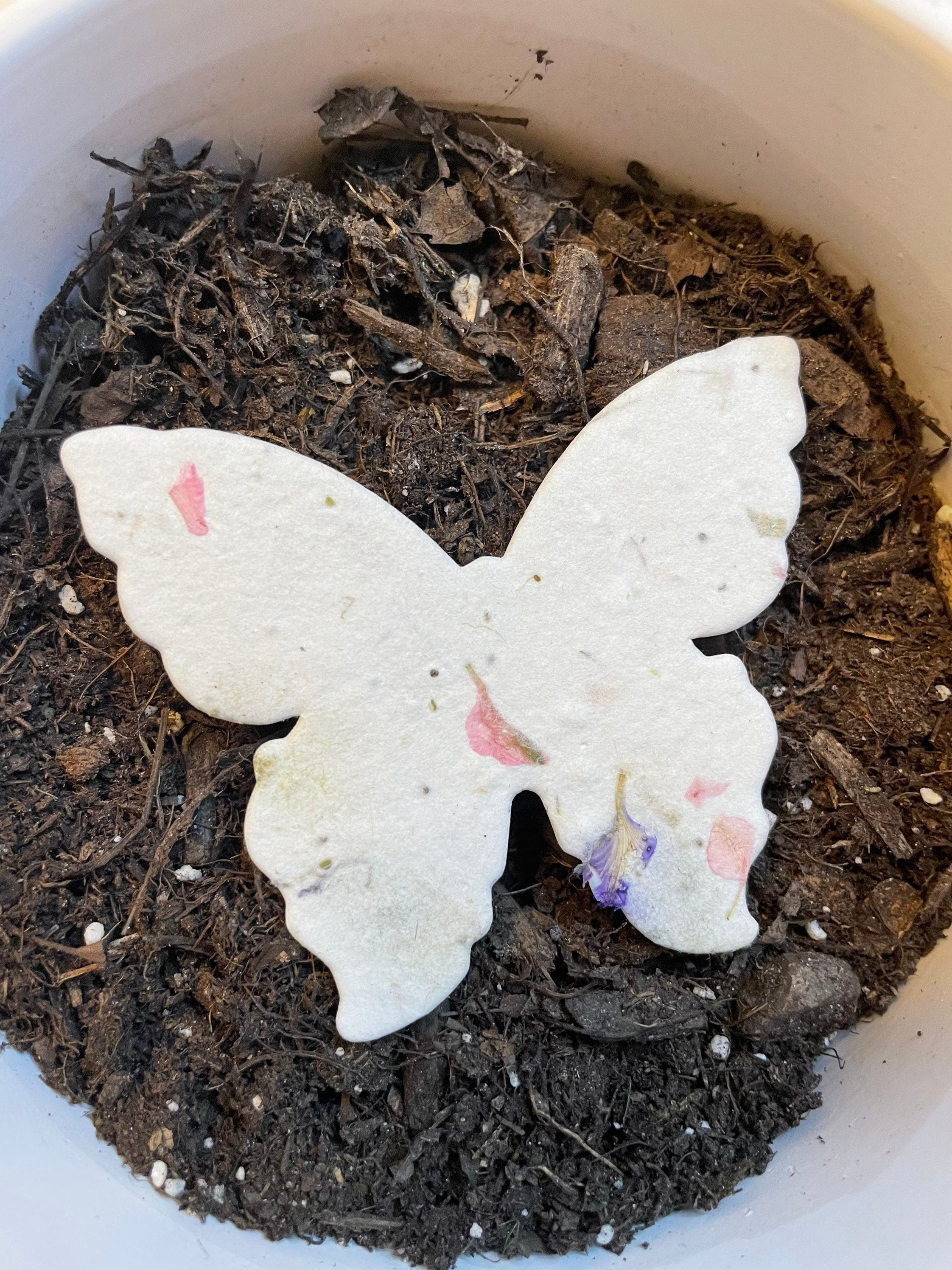 Colorful butterfly seed paper embedded with wildflower seeds, perfect for planting and manifesting dreams.