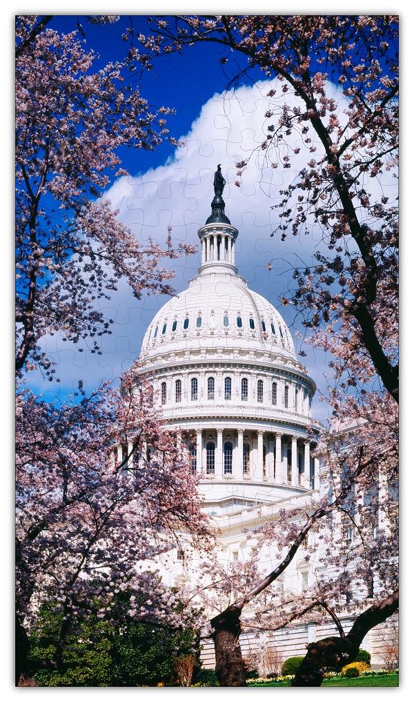 U.S. Capitol in Cherry Blossoms Jigsaw Puzzle #6728 featuring vibrant cherry blossoms and iconic architecture.