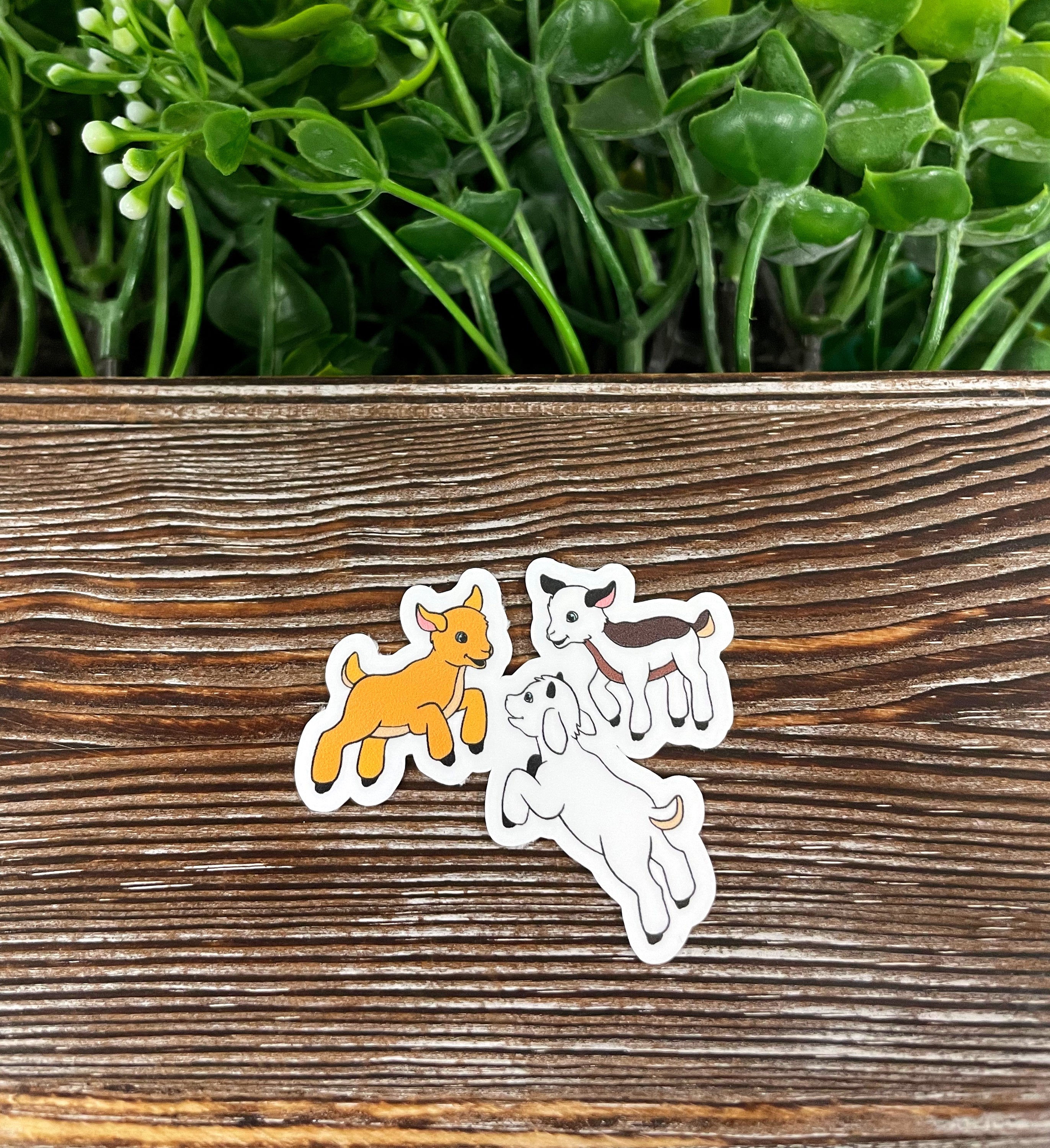 Three colorful baby mini goat stickers on a white background, showcasing their playful designs and water-resistant quality.