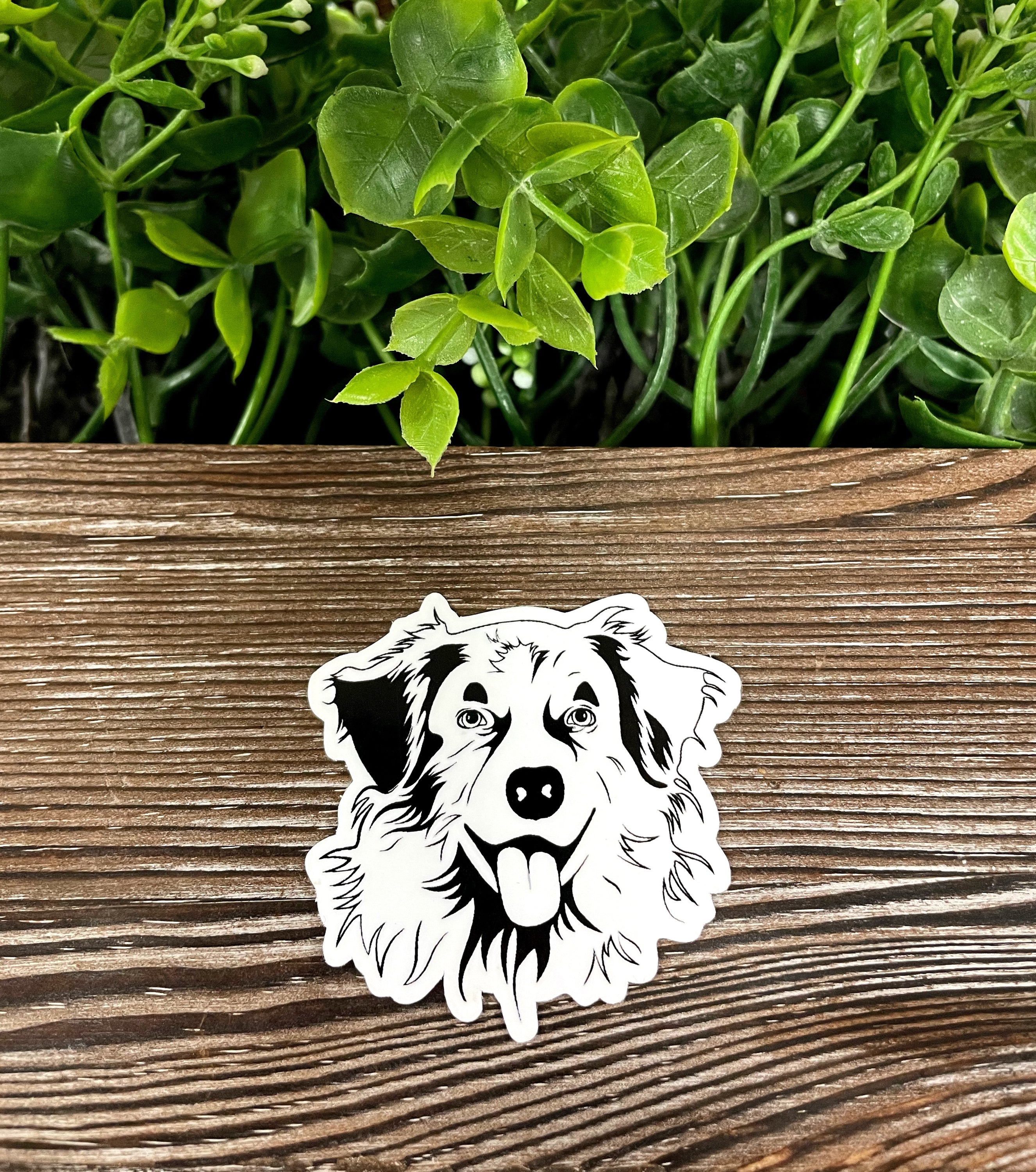 Colorful Australian Shepherd dog sticker on a smooth surface, showcasing its vibrant design and quality finish.