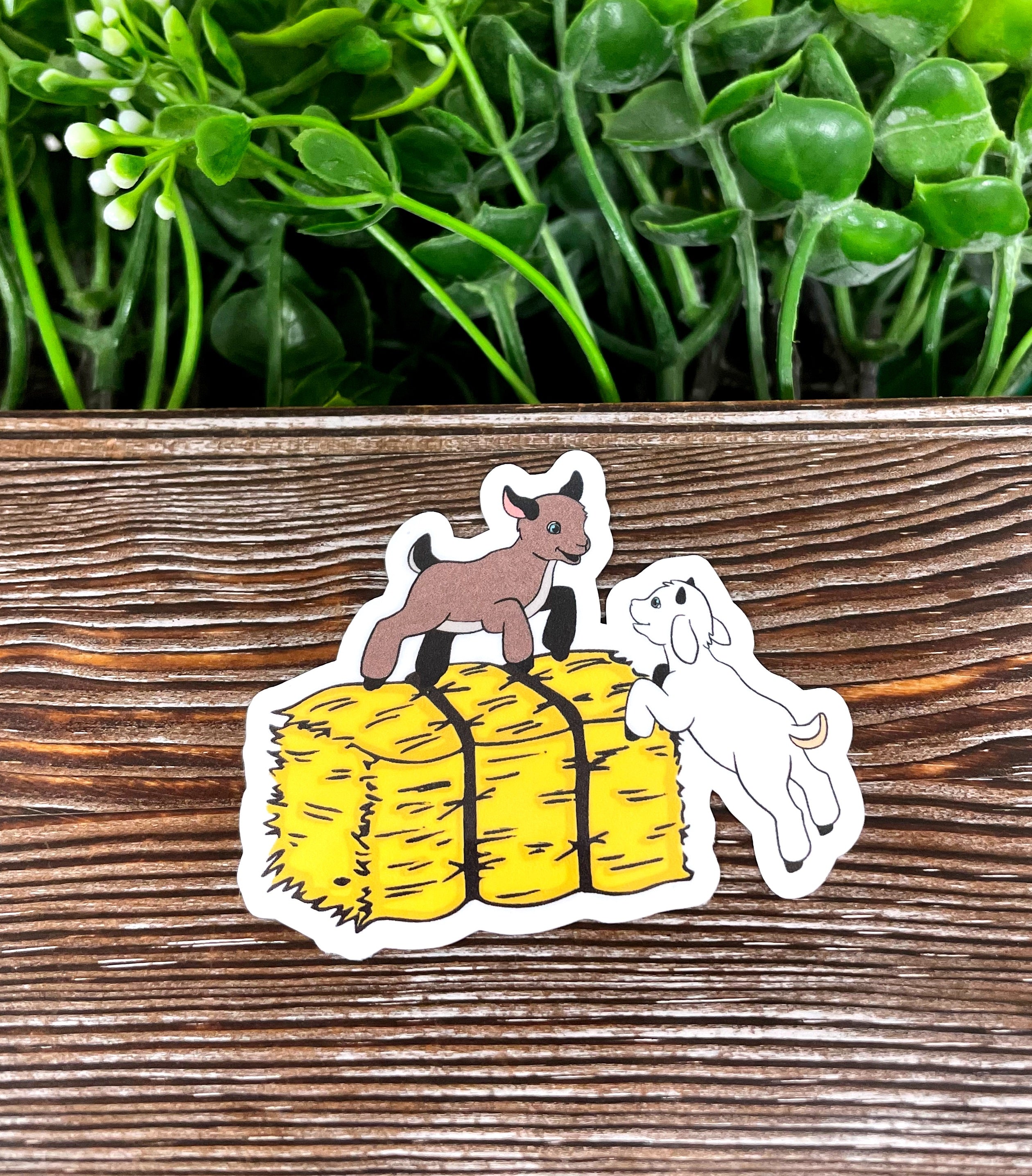 A colorful die cut vinyl sticker featuring playful baby goats on a hay bale, perfect for personalizing various smooth surfaces.