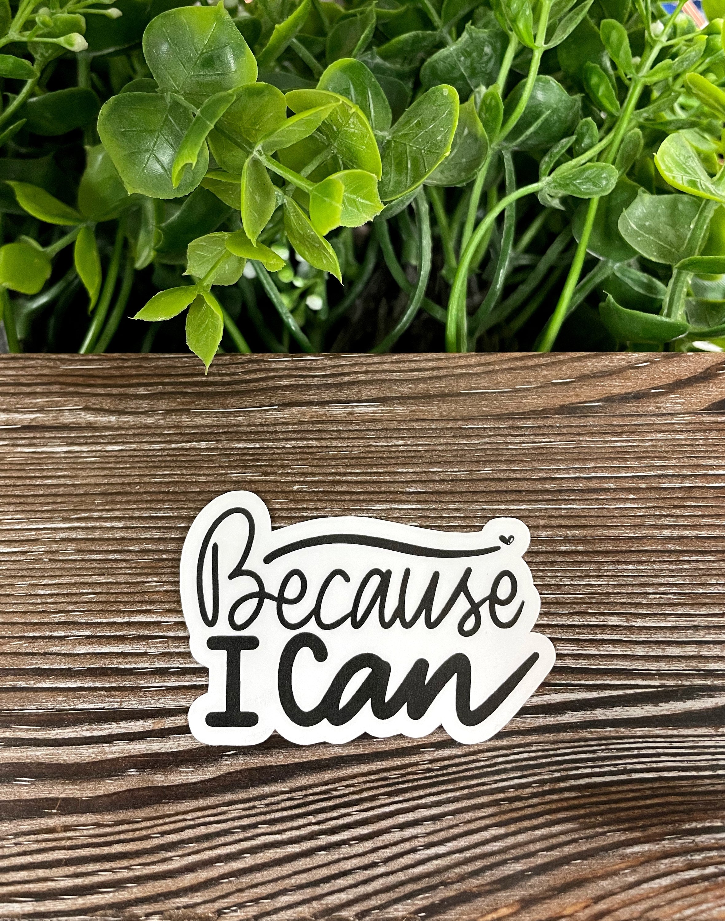 Because I Can Sticker featuring vibrant colors and a die-cut design, perfect for personalizing various surfaces.