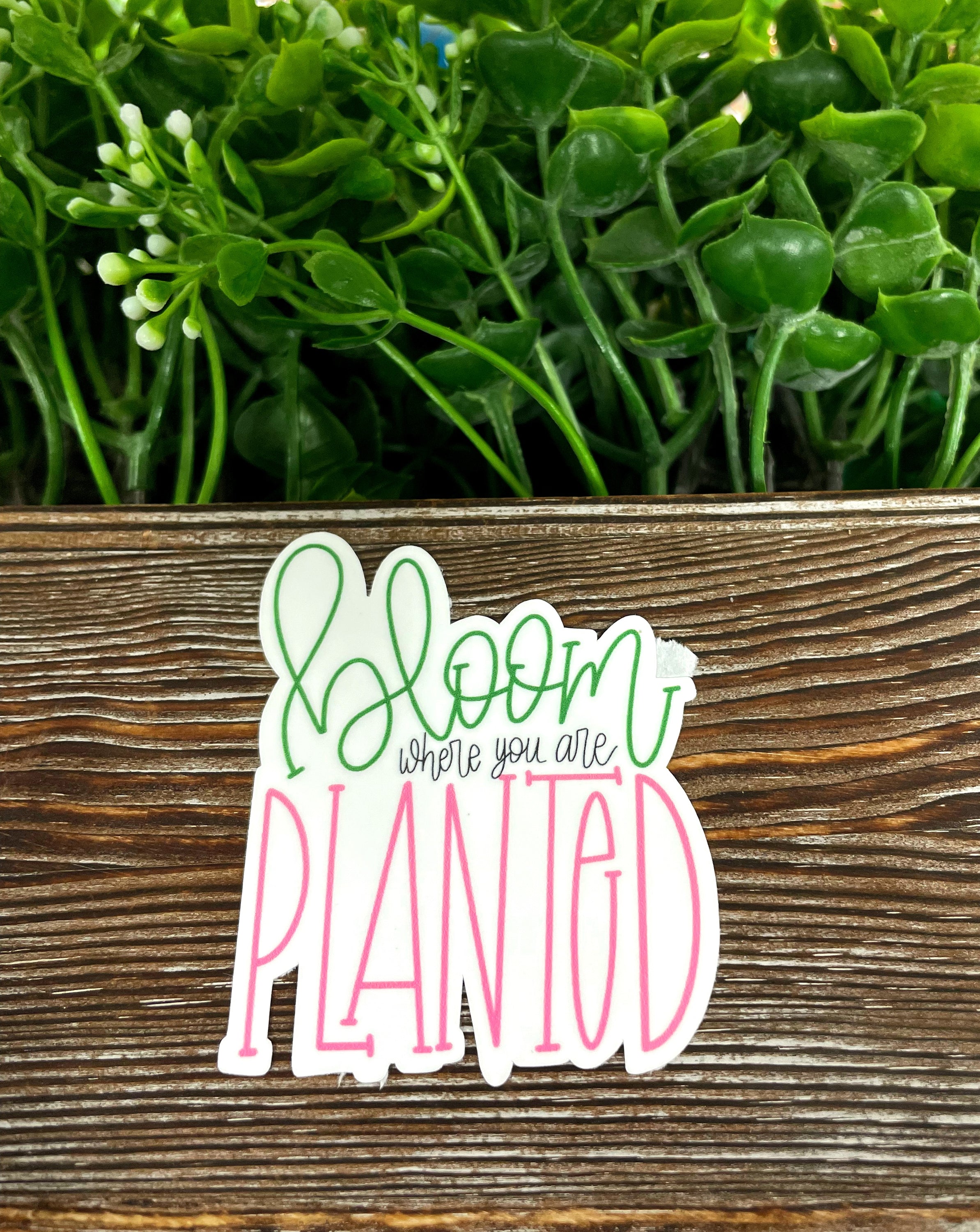 Bloom Where You Are Planted die cut sticker on a smooth surface, showcasing vibrant colors and intricate design.