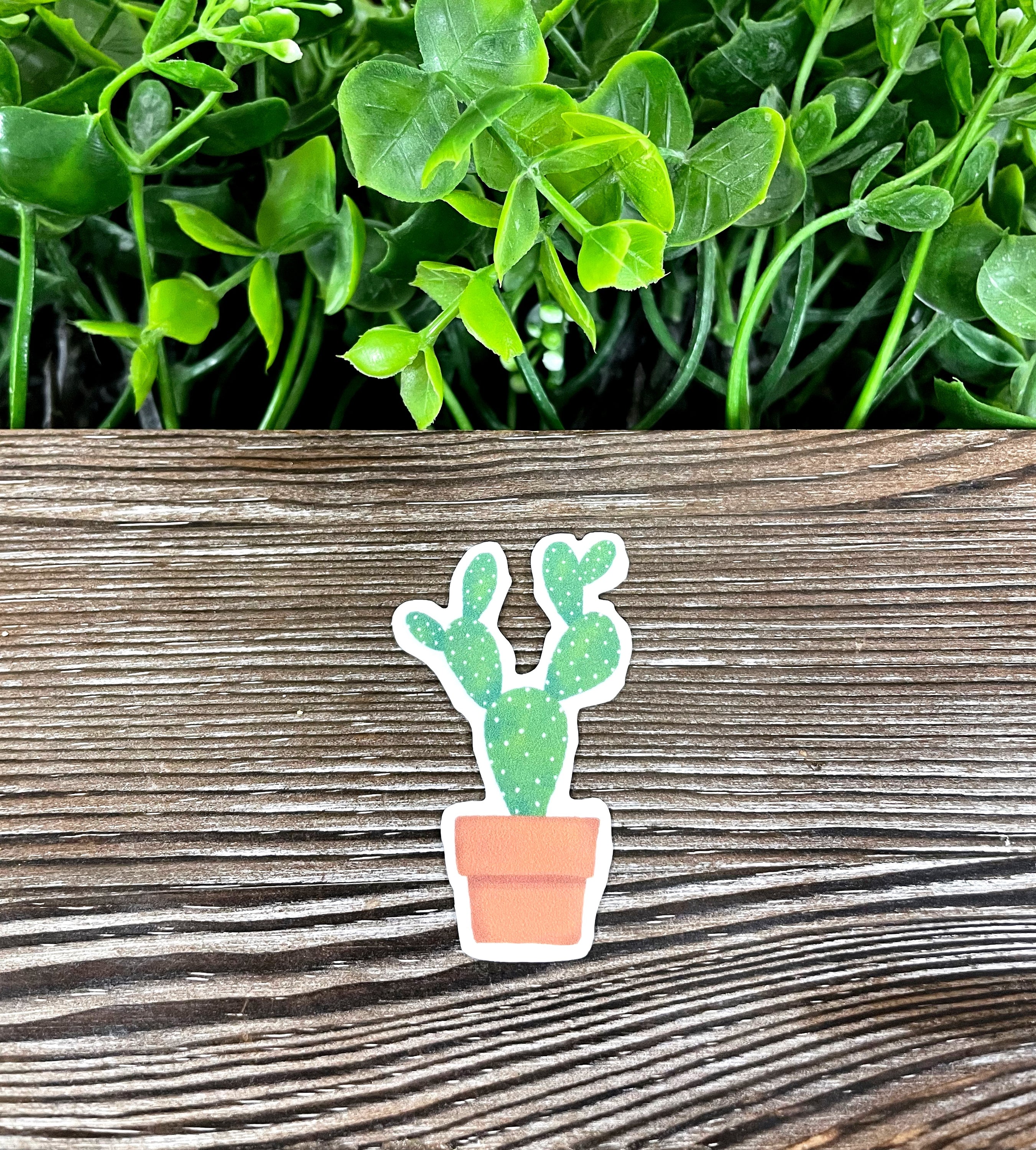 A vibrant die cut vinyl sticker featuring a cactus plant in a pot, showcasing boho fun design elements.