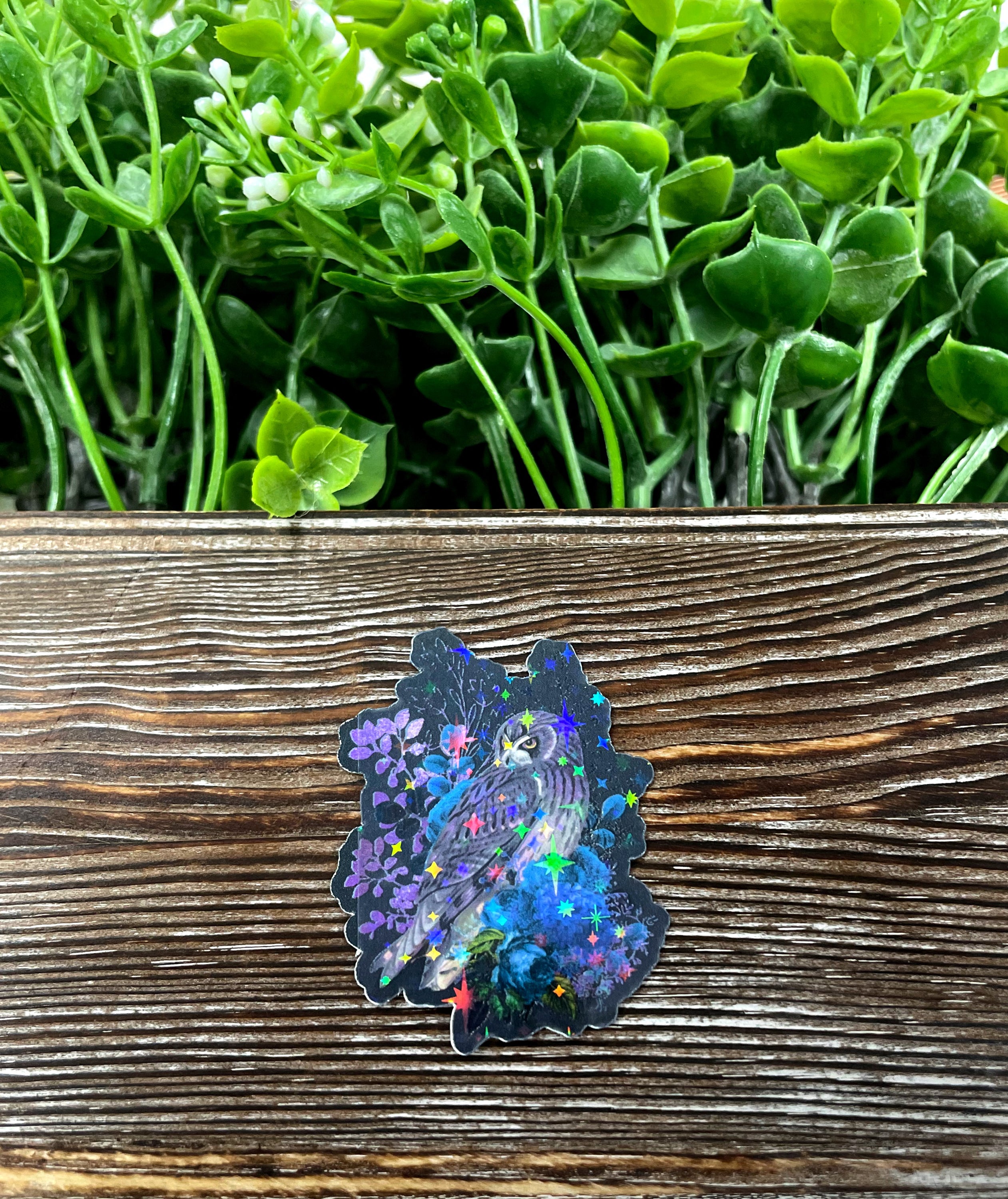 Celestial Owl die cut sticker featuring intricate graphic art on a vinyl surface, perfect for personalizing various items.