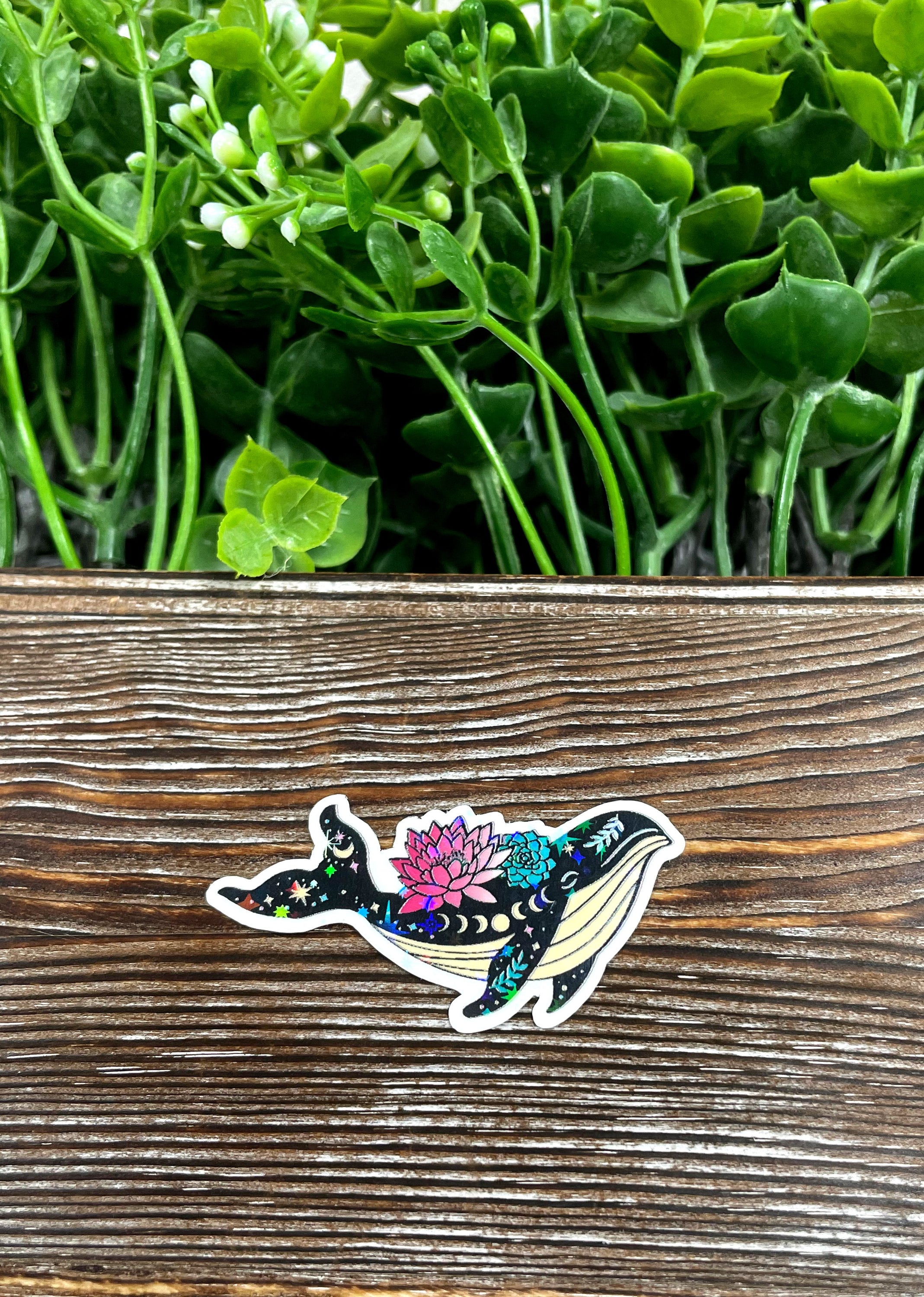 Celestial Whale die cut sticker featuring a beautiful graphic design on a vinyl surface, perfect for personalizing various items.