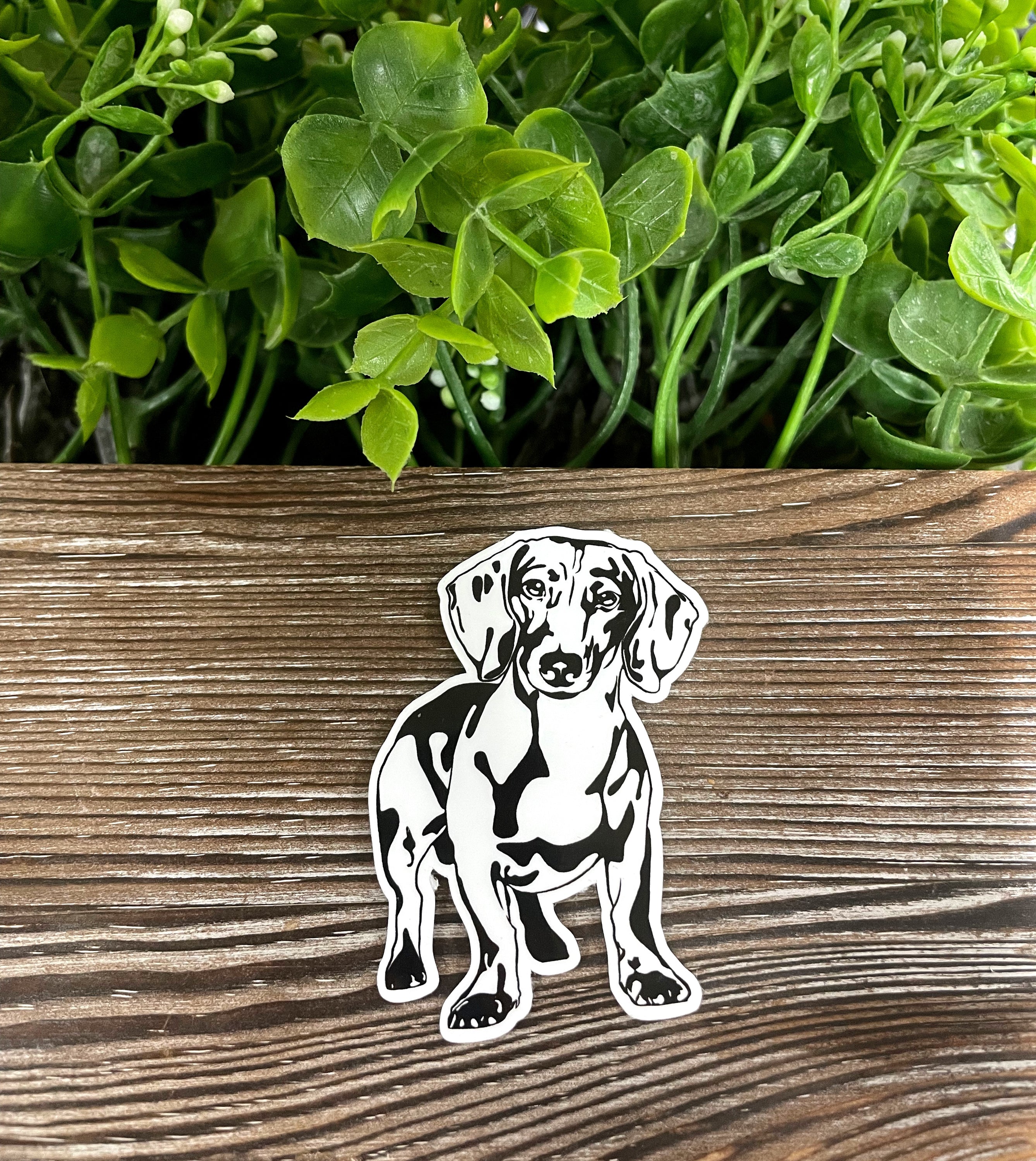 A colorful Dachshund sticker featuring a cute dog design, perfect for decorating various smooth surfaces.