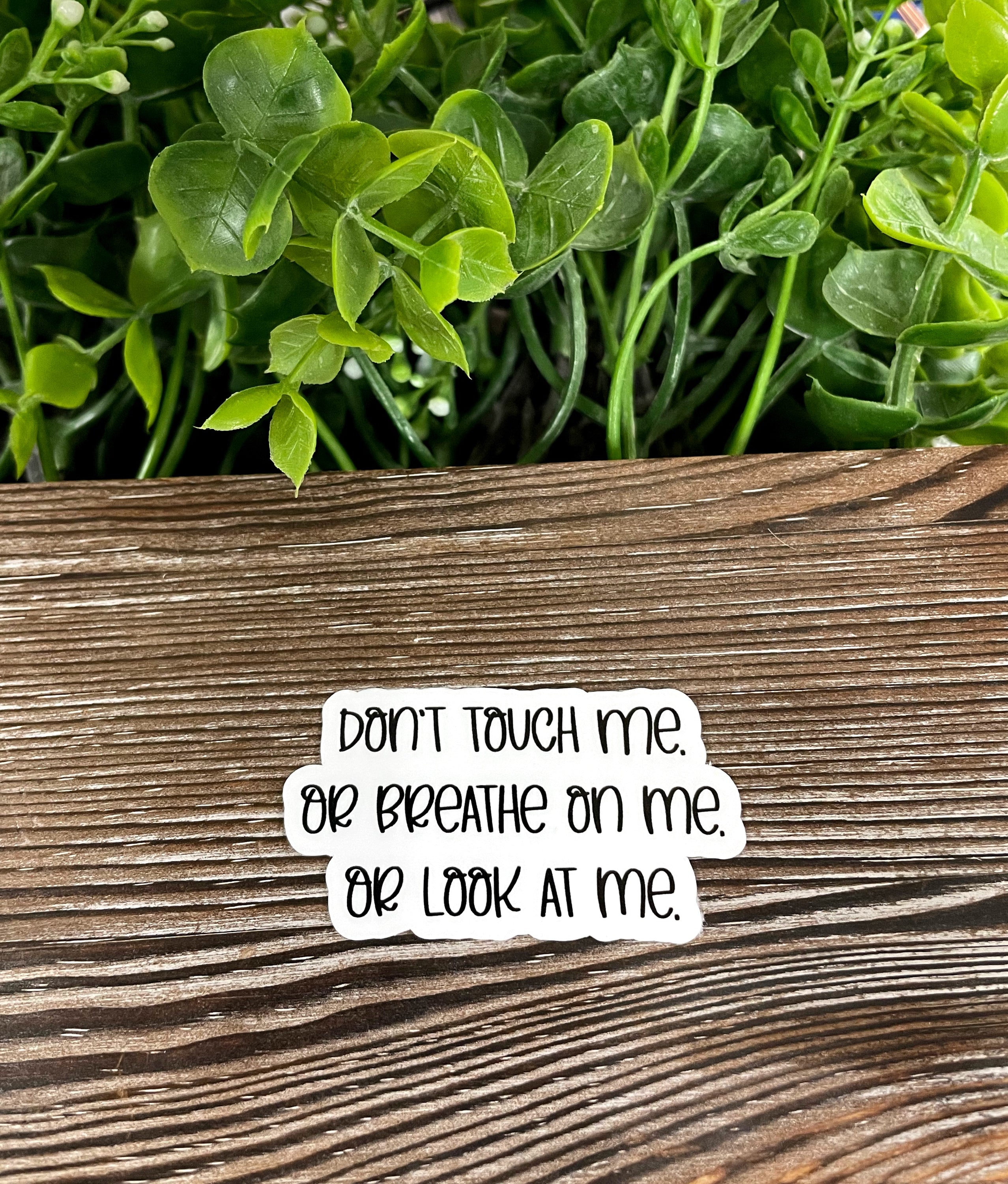 A vibrant die cut vinyl sticker with the phrase 'Don't Touch Me or Breathe on Me or Look at Me' displayed prominently, showcasing its quality and design.