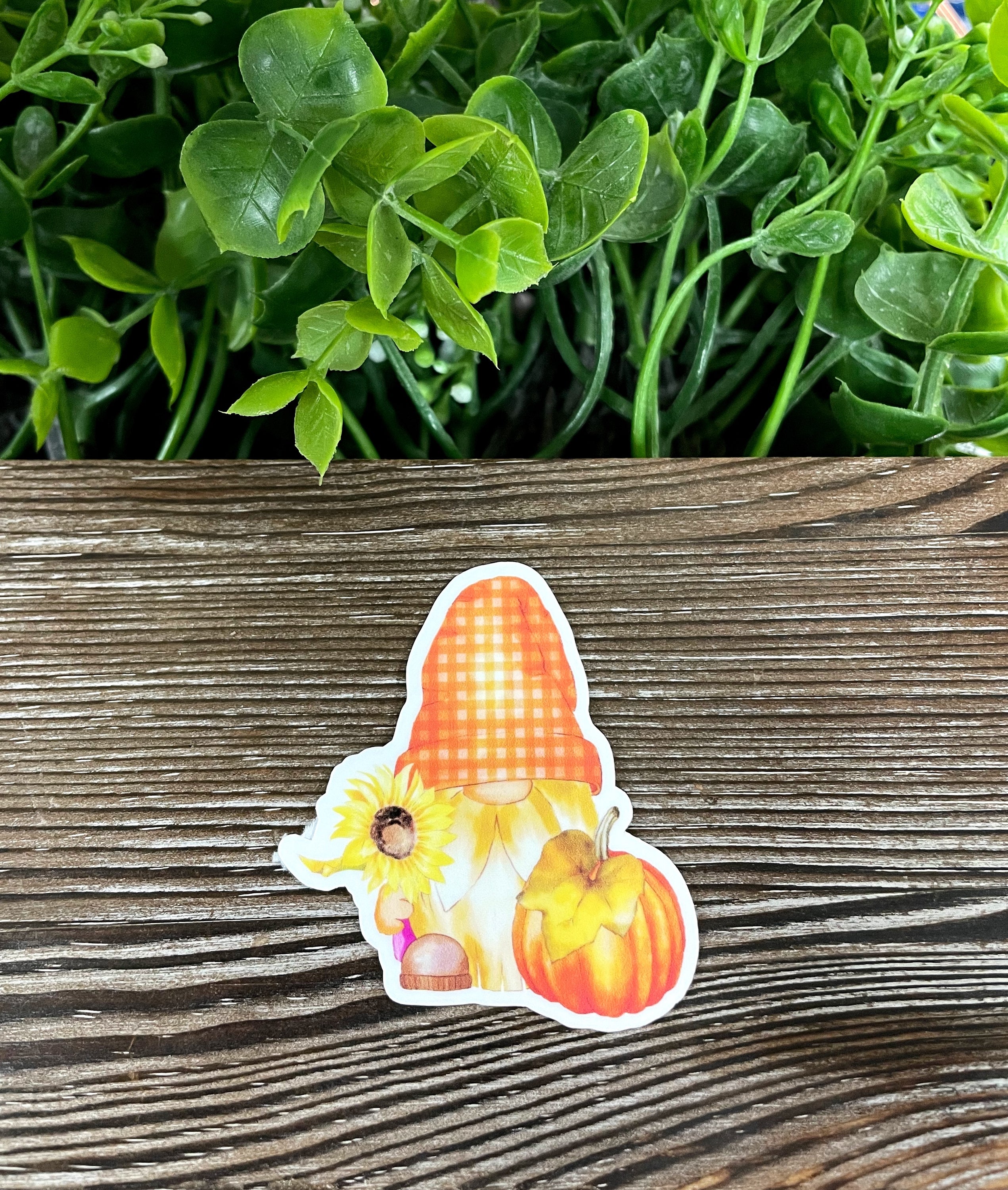 A vibrant die cut vinyl sticker featuring a gnome surrounded by sunflowers and pumpkins, perfect for fall decoration.