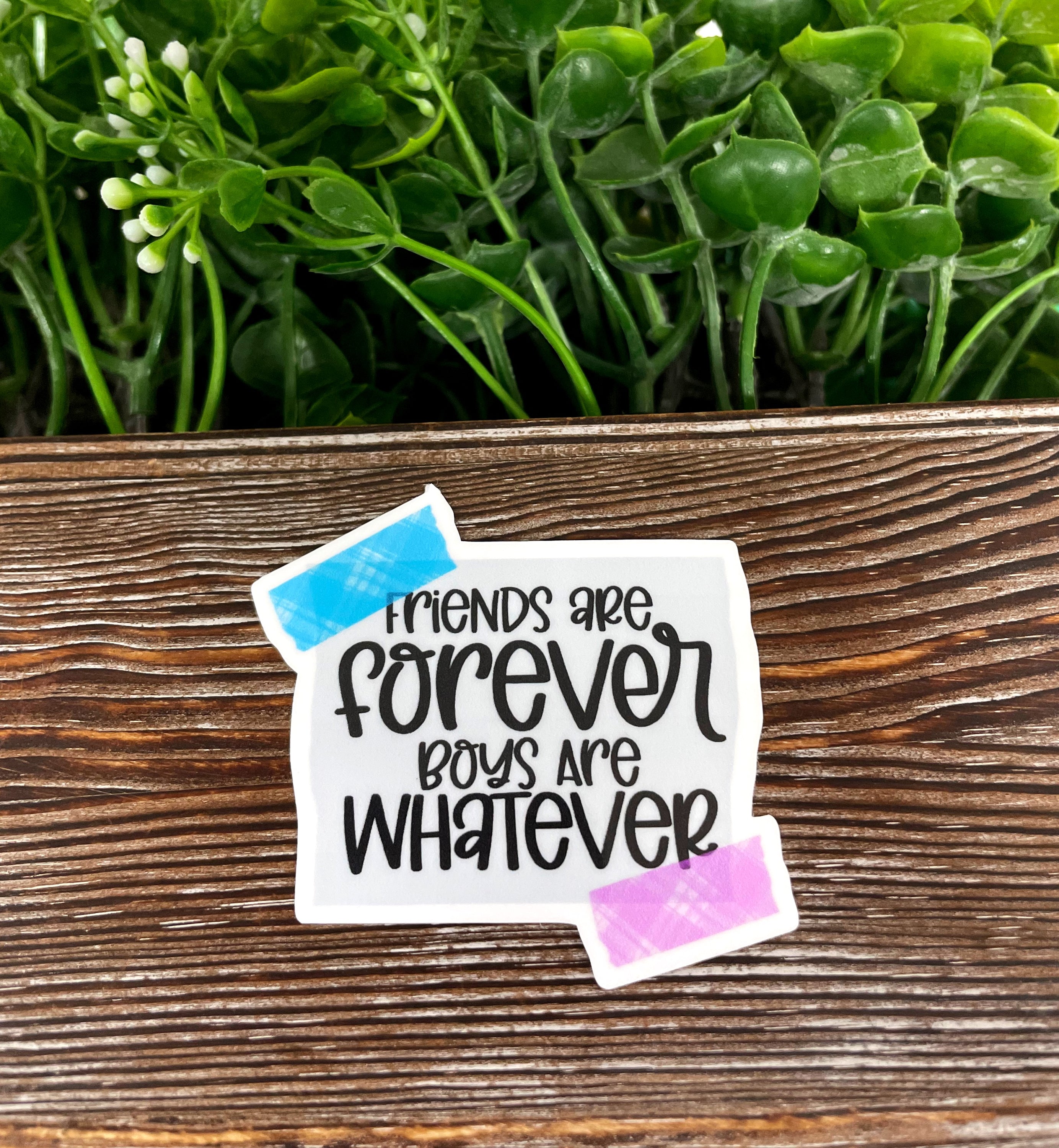 Friends are Forever Boys are Whatever sticker on a smooth surface, showcasing vibrant colors and a fun design.
