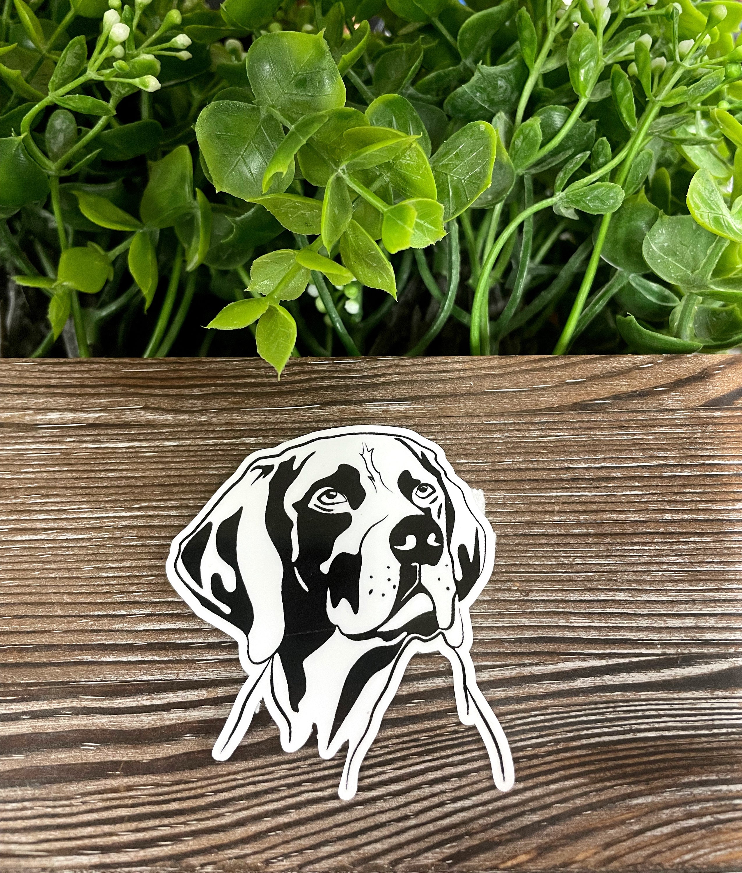 A vibrant German Shorthaired Pointer dog sticker on a smooth surface, showcasing its playful design and quality finish.