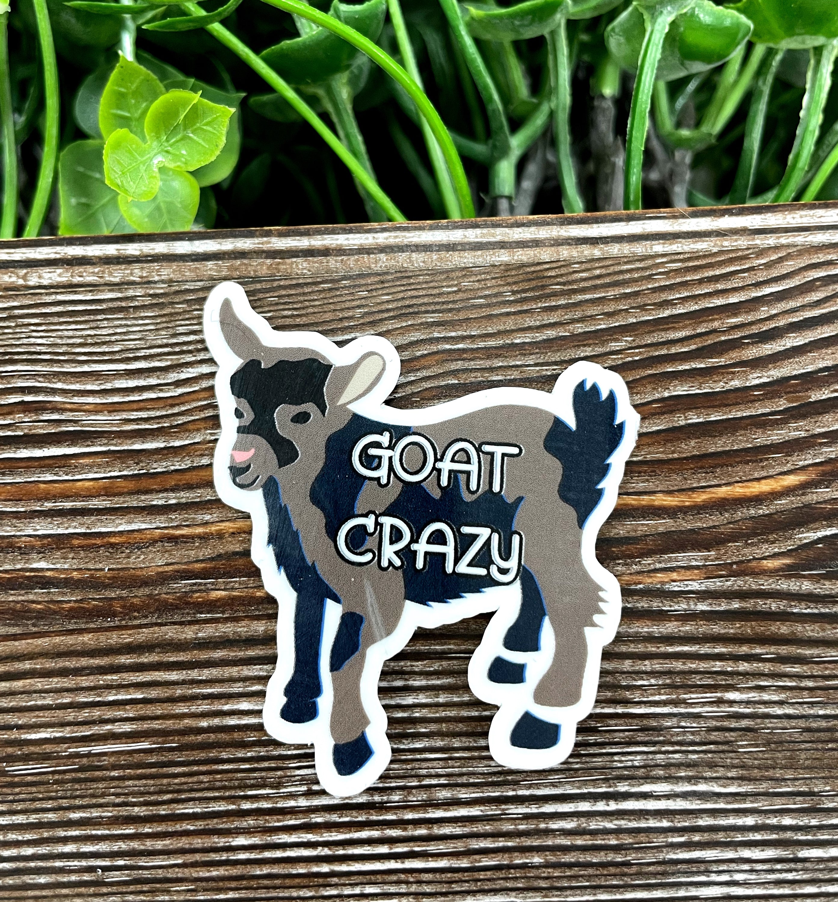 Goat Crazy Sticker featuring a playful Nigerian Dwarf goat design on a vibrant background.