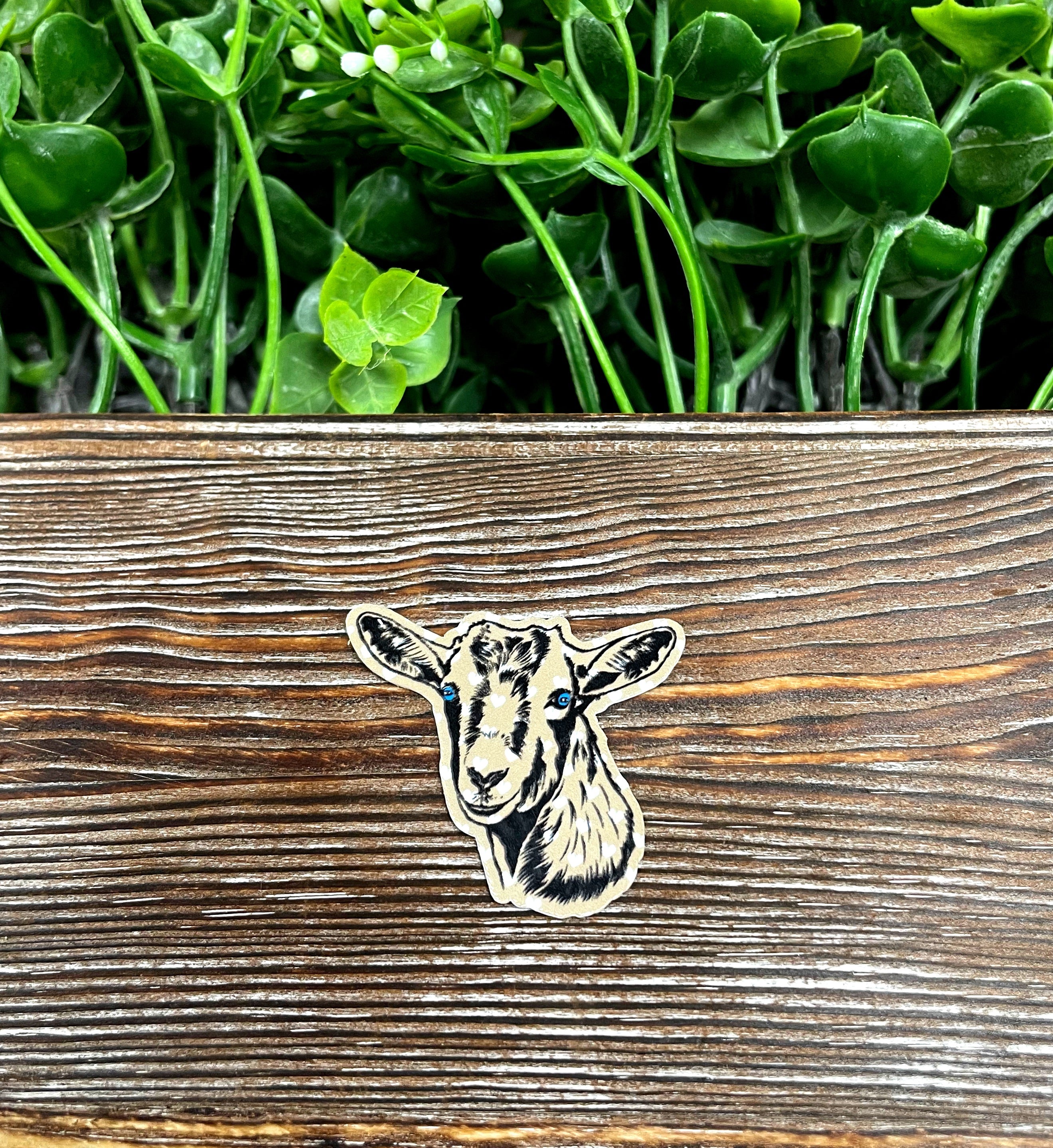 Colorful vinyl Goat Sticker featuring a Nigerian Dwarf Mini goat design, perfect for personalizing various smooth surfaces.