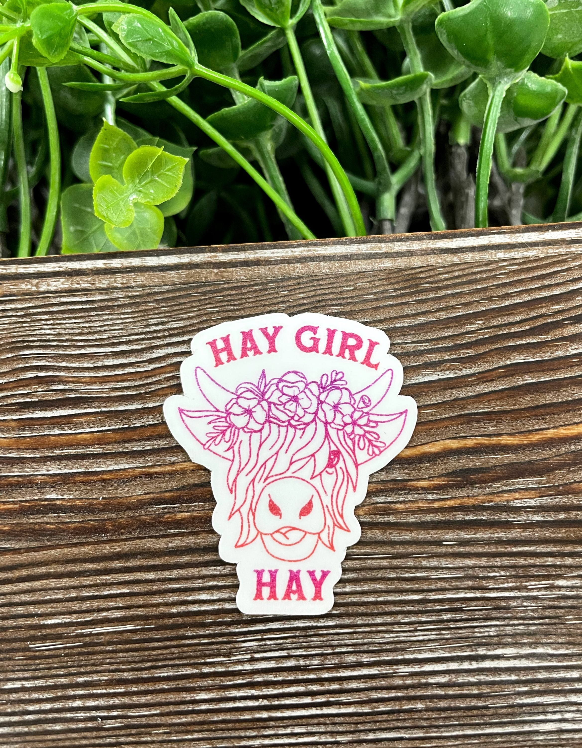 A vibrant pink highland cow die cut sticker on a smooth surface, showcasing its unique graphic art design.