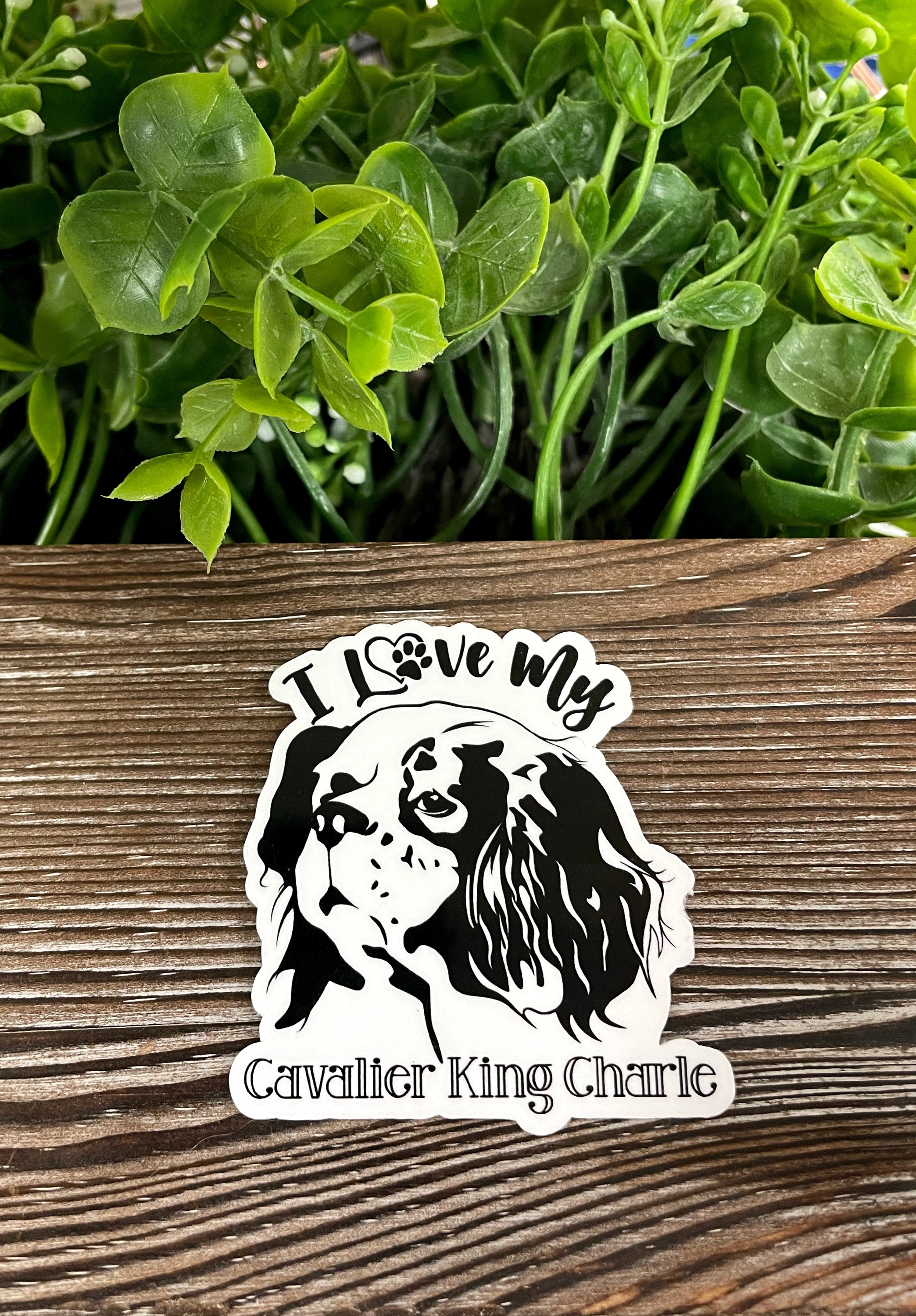 A vibrant sticker featuring the text 'I Love my Cavalier King Charles' with a cute illustration of a Cavalier King Charles Spaniel, suitable for various smooth surfaces.