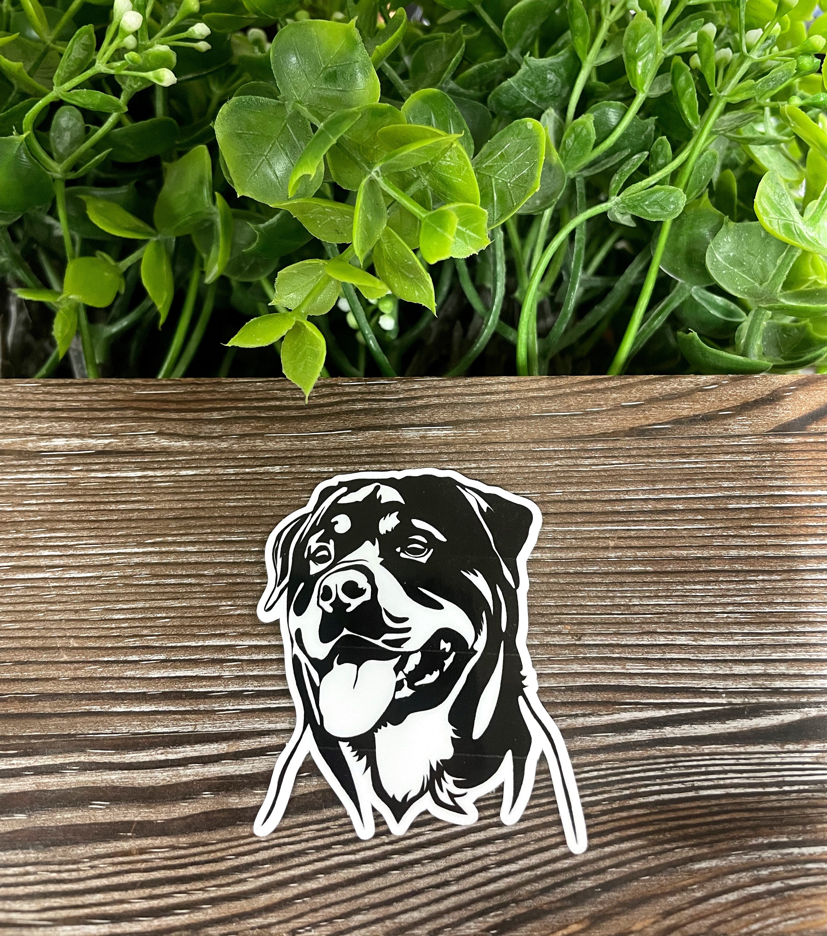 A vibrant Rottweiler sticker showcasing a detailed design, perfect for personalizing smooth surfaces like notebooks and water bottles.