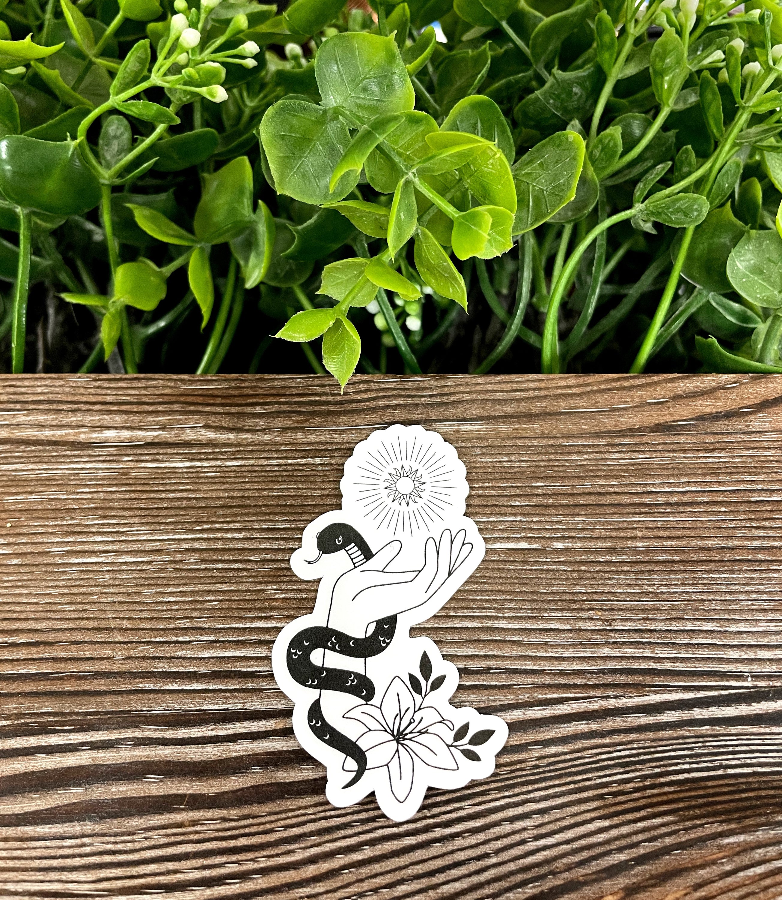 A vibrant die cut vinyl sticker featuring a snake twisted around a hand, showcasing boho fun and water-resistant qualities.