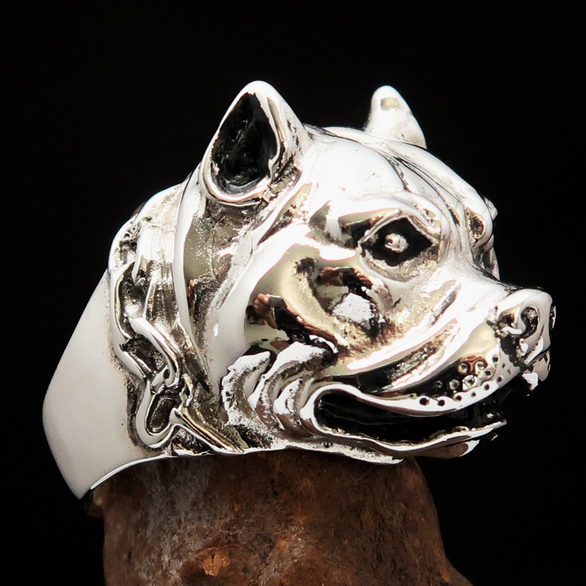 Men's Biker Ring featuring a fierce pitbull in chains, crafted from sterling silver with high polish and antiqued finishes.