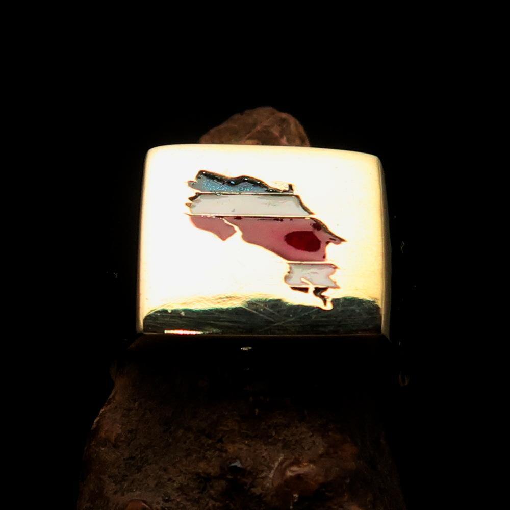 Men's Costa Rican National Flag Ring made of solid brass with high polish and enamel, featuring the RCRN logo engraved.