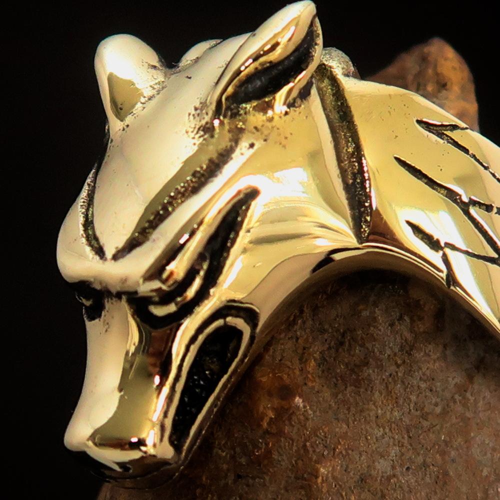 Men's Jackal Costume Ring featuring Anubis, crafted from solid brass with an antique finish, showcasing intricate details.