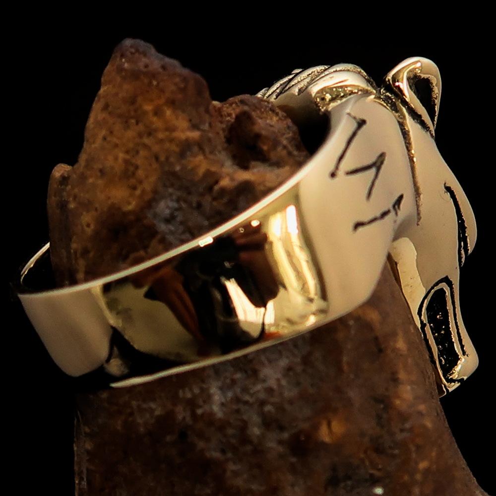 Men's Jackal Costume Ring featuring Anubis, crafted from solid brass with an antique finish, showcasing intricate details.