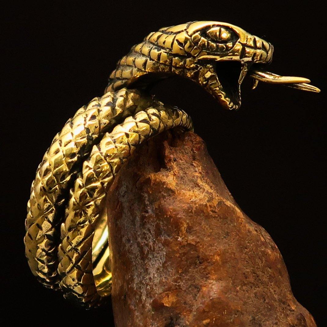 Men's Reptile Ring featuring a detailed python snake design, crafted from solid brass with a high polish and antique finish.