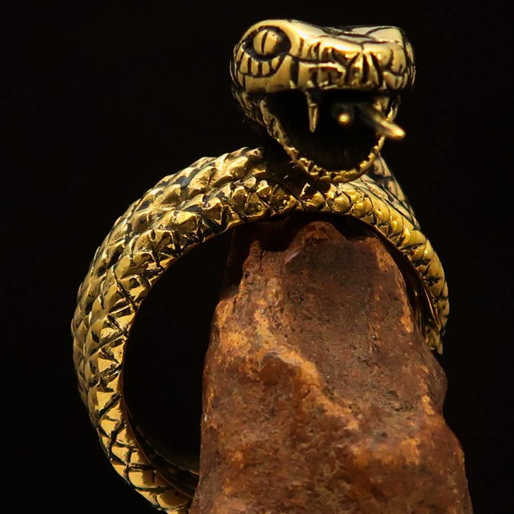 Men's Reptile Ring featuring a detailed python snake design, crafted from solid brass with a high polish and antique finish.