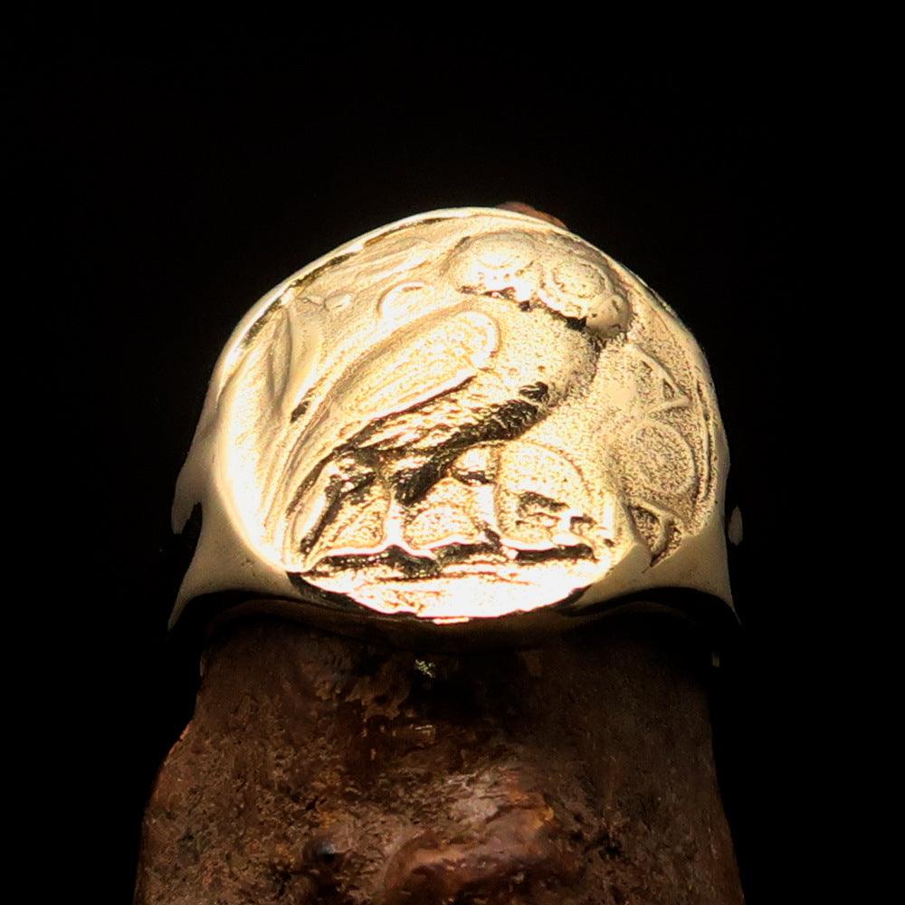Men's ancient Greek Drachma coin owl ring made of solid brass with a high-polished finish, featuring the RCRN logo engraved.