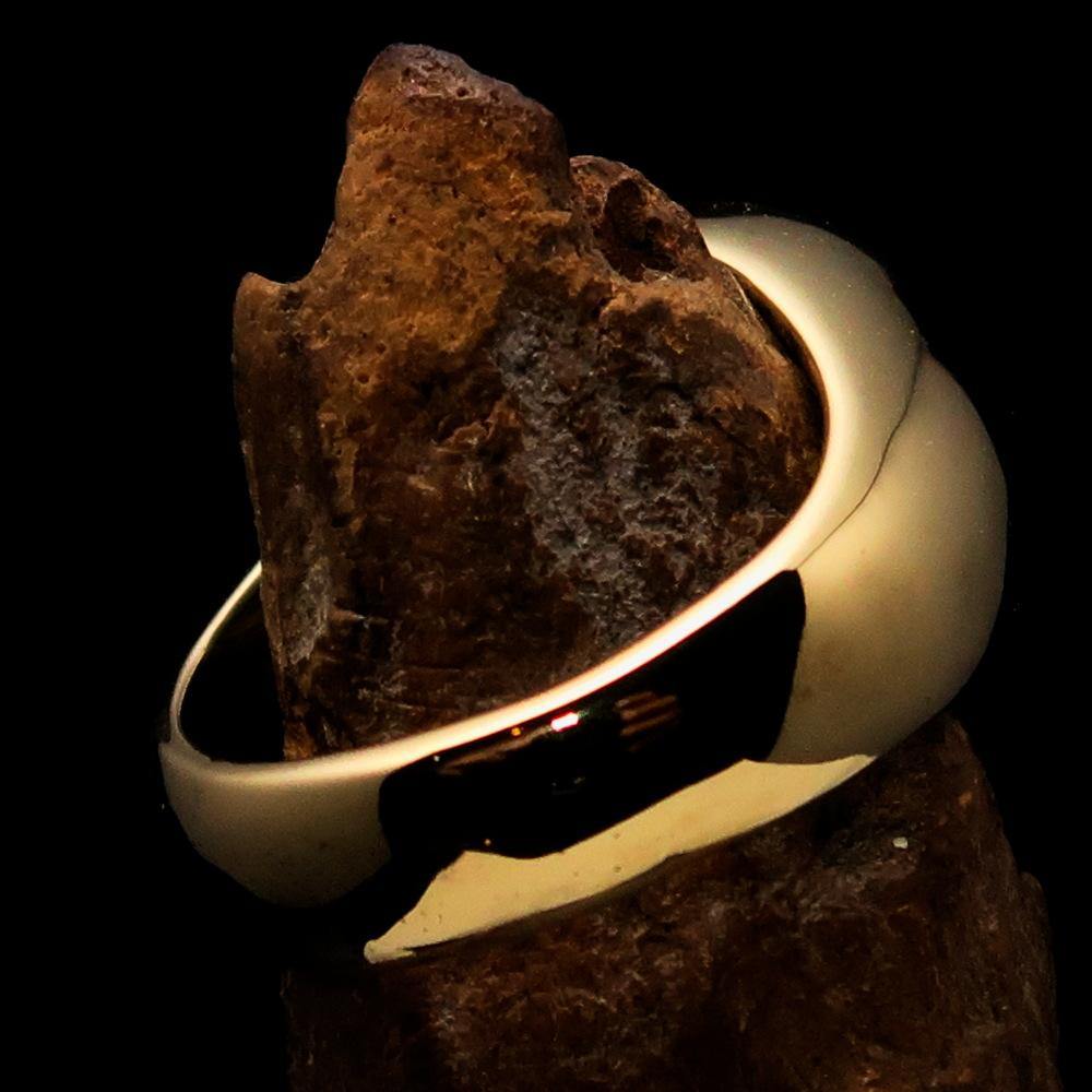 Men's Bio Hazard Ring featuring a black Toxic Waste Symbol, crafted from solid brass with a high polished enamel finish.