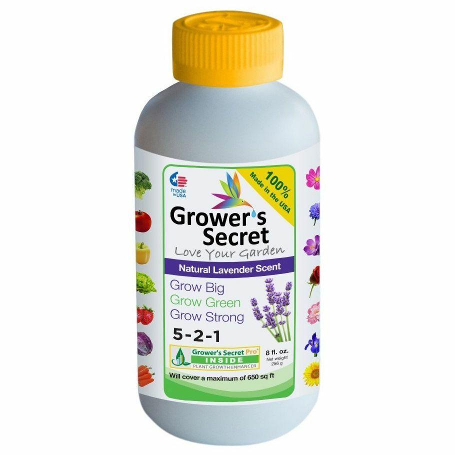 Grower's Secret Grow Big 5-2-1 Concentrate in an 8-ounce bottle with a lavender scent, designed for organic gardening and plant nourishment.