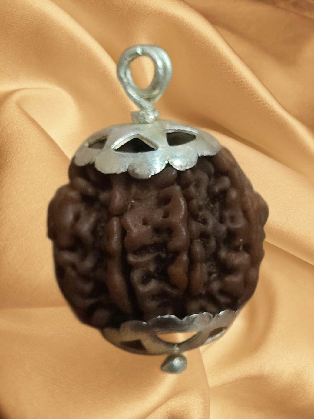 A 7 Face Rudraksha Pendant featuring a genuine 7 Mukhi bead with elegant silver capping, showcasing its brown oval shape.