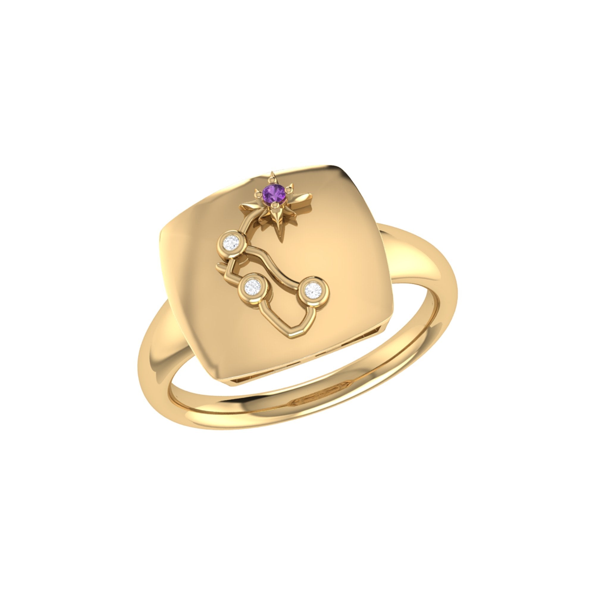 Aquarius Water-Bearer Amethyst & Diamond Constellation Signet Ring in 925 Sterling Silver with 14K Yellow Gold Vermeil plating.