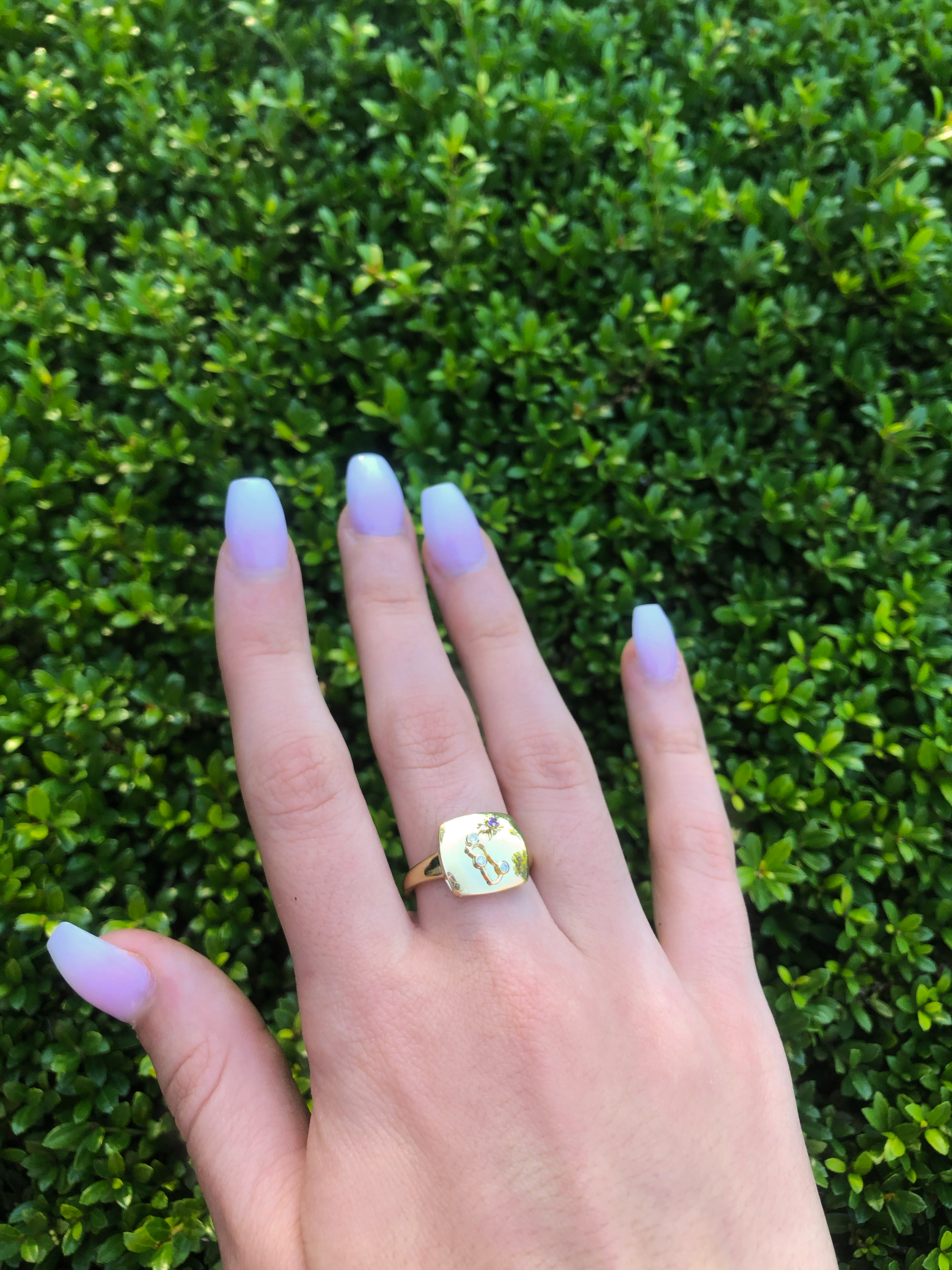 Aquarius Water-Bearer Amethyst & Diamond Constellation Signet Ring in 925 Sterling Silver with 14K Yellow Gold Vermeil plating.