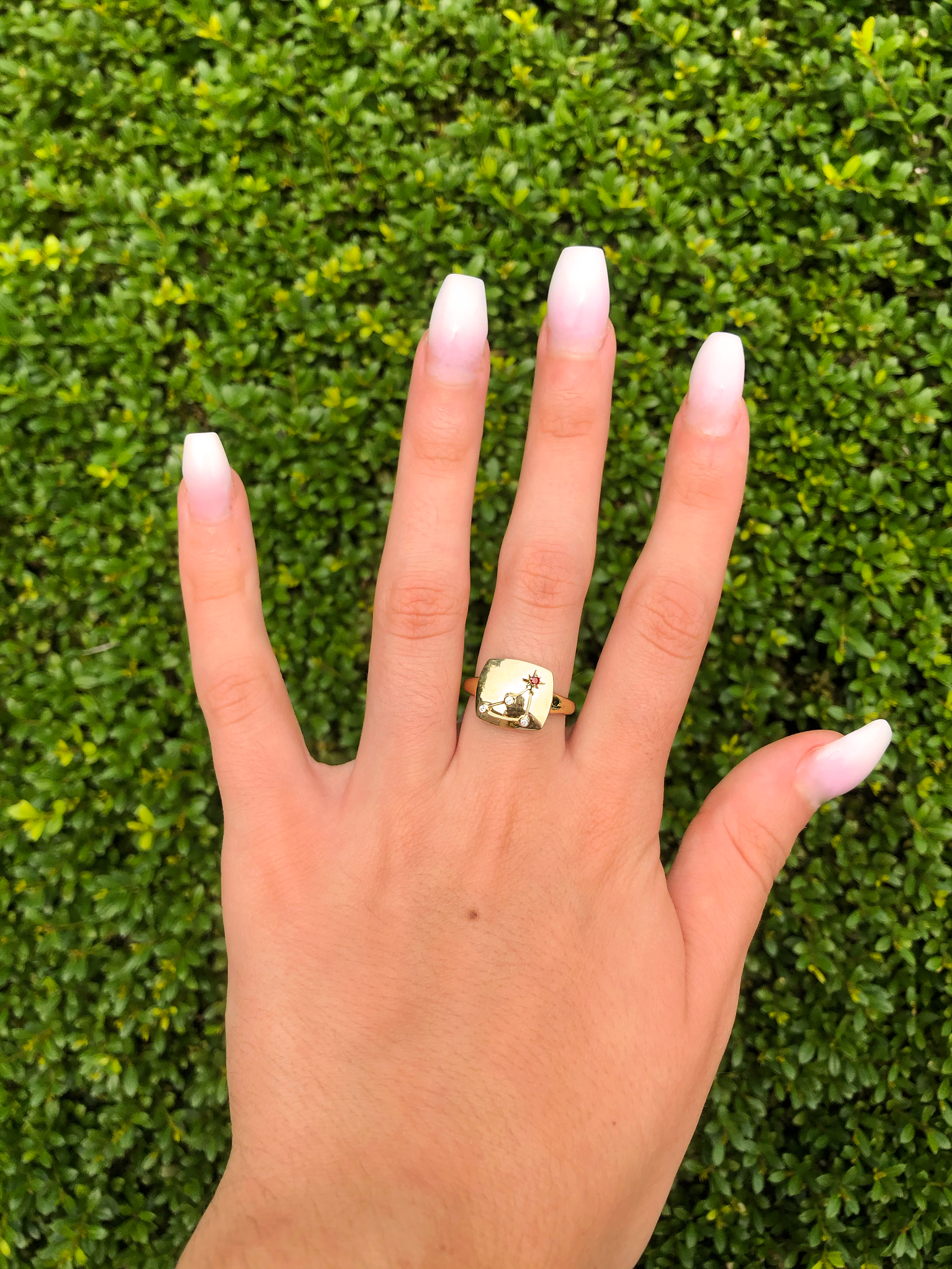 Capricorn Goat Garnet & Diamond Constellation Signet Ring in 14K Yellow Gold Vermeil with garnet and diamond accents.