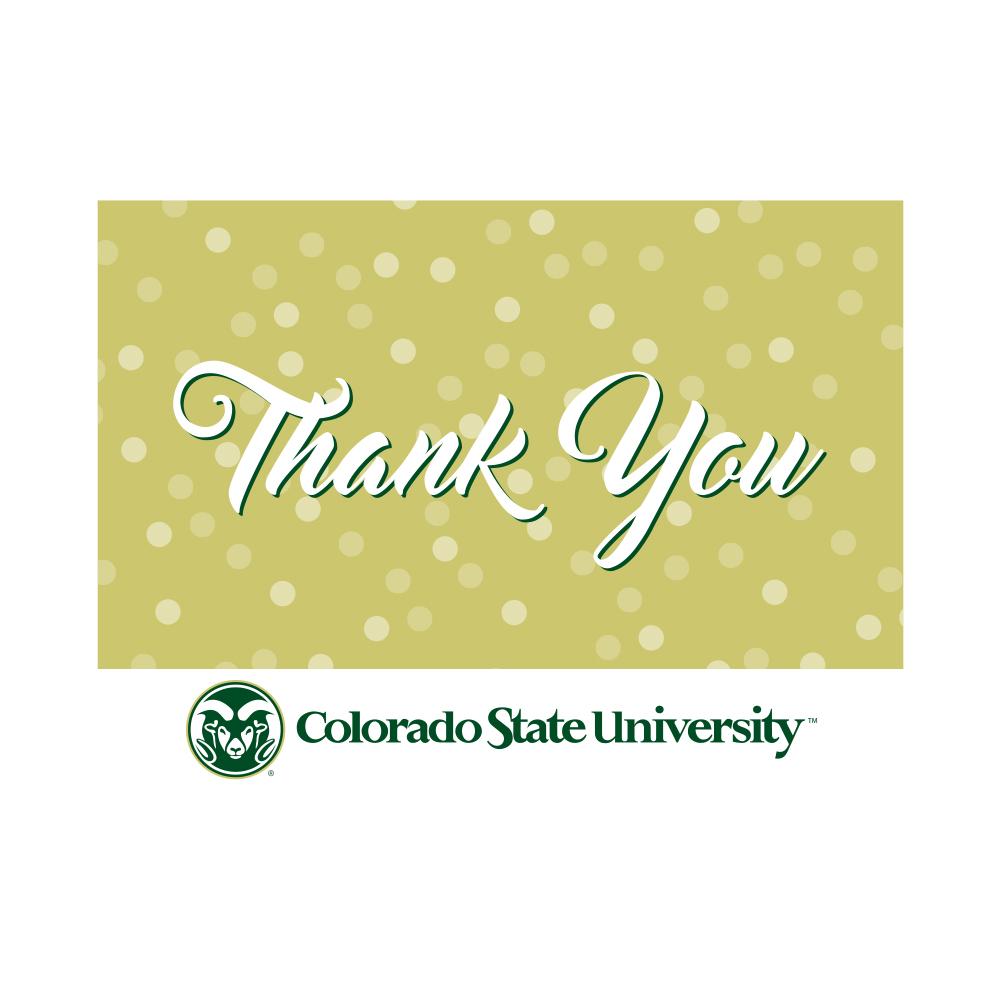 A pack of Colorado State Rams Thank You Cards featuring vibrant designs, includes 10 cards and envelopes.
