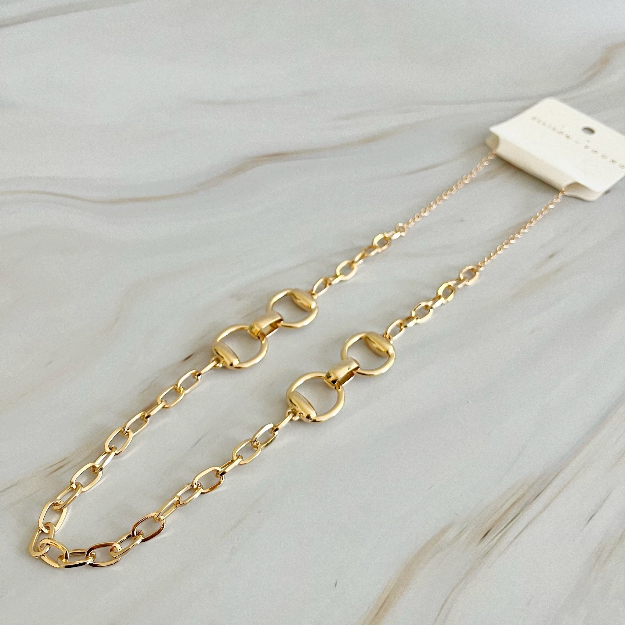 Double Equestrian Chain Necklace featuring interlocking chains in a chic design, perfect for stylish accessorizing.