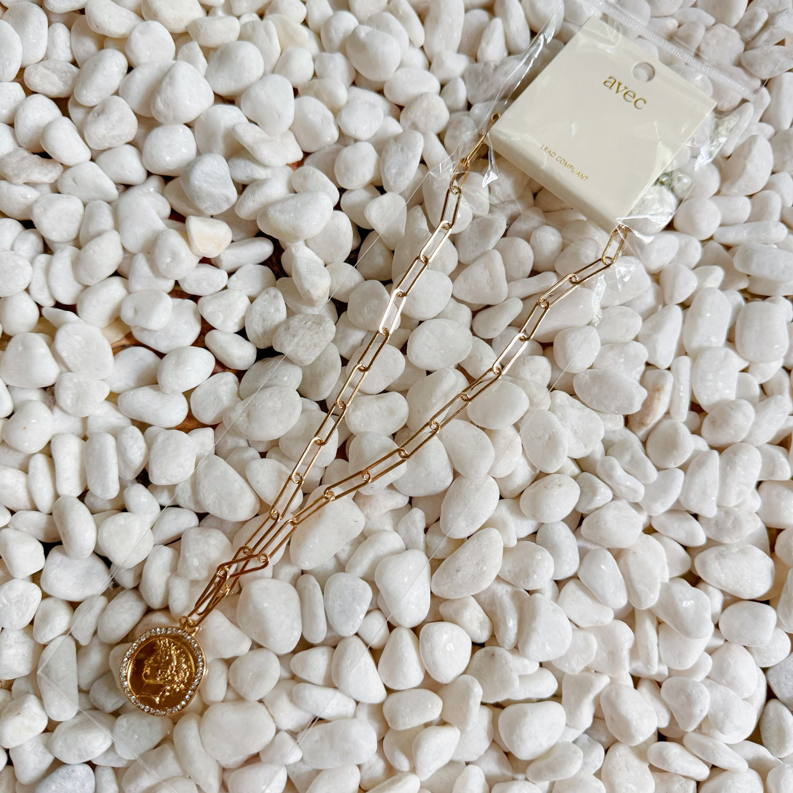 Glam Edge Coin Link Chain Necklace featuring a classic chain with a dangling coin charm, perfect for adding glamour to any outfit.