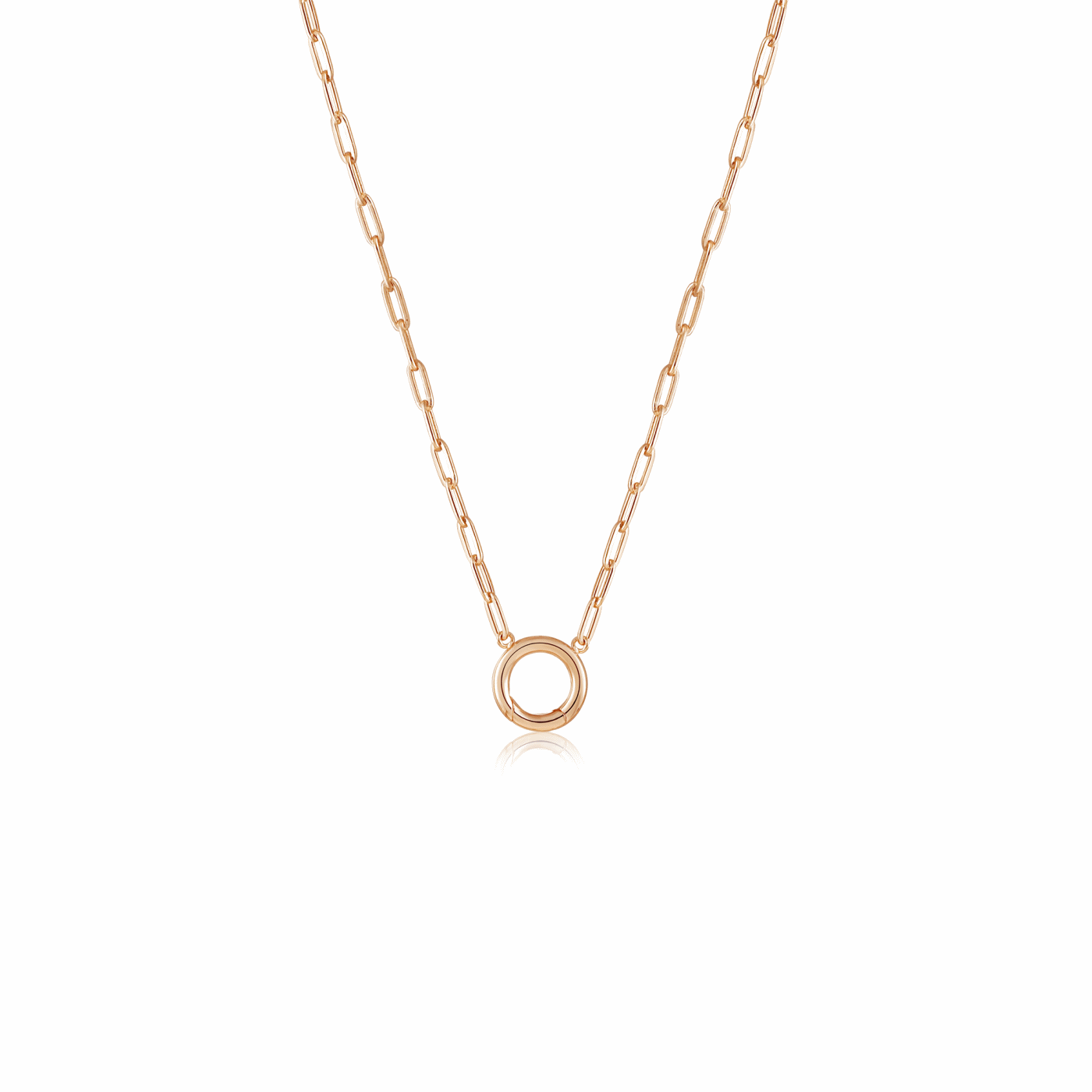 Gold Charm Carrier Necklace Chain with charms, showcasing its elegant design and versatility.