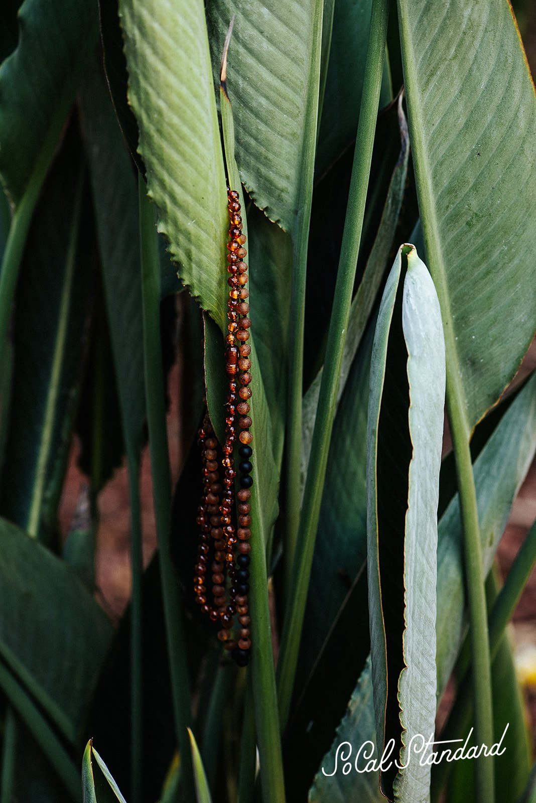 Shungite and Amber necklace designed for adults, featuring raw cognac amber beads and shungite, promoting natural healing and radiation blocking.