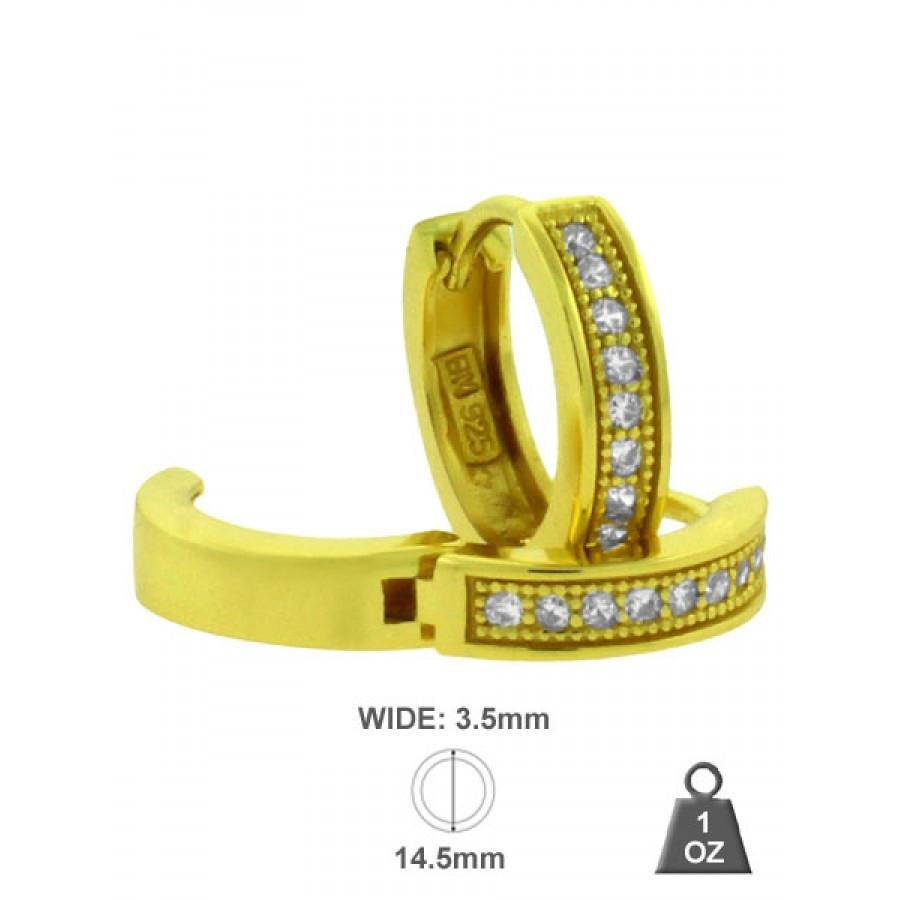 A detailed view of Silver Regular Earnings investment product, showcasing its features and benefits for investors.