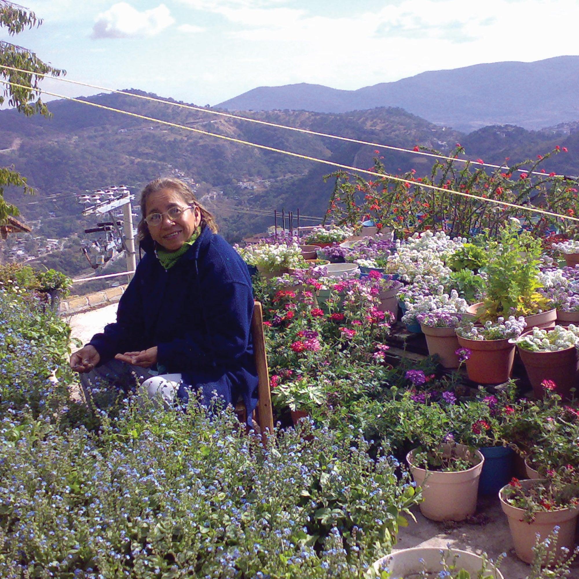 Sterling silver snake bracelet featuring delicate poppy-like flowers encased in resin, elegantly designed for a stylish look.