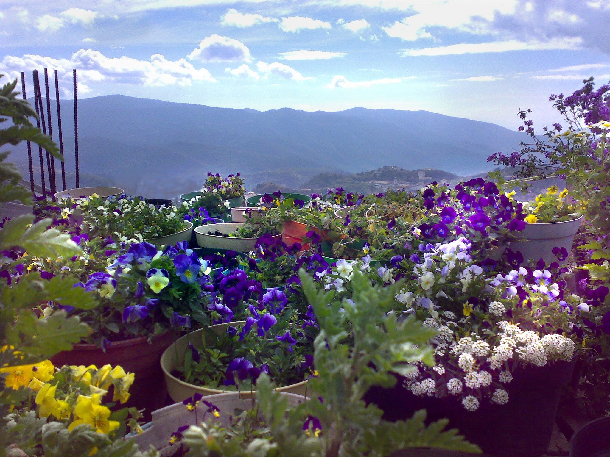 Sterling silver stretchy beaded bracelet featuring tiny purple flowers and a heart charm, elegantly displayed in a gift box.