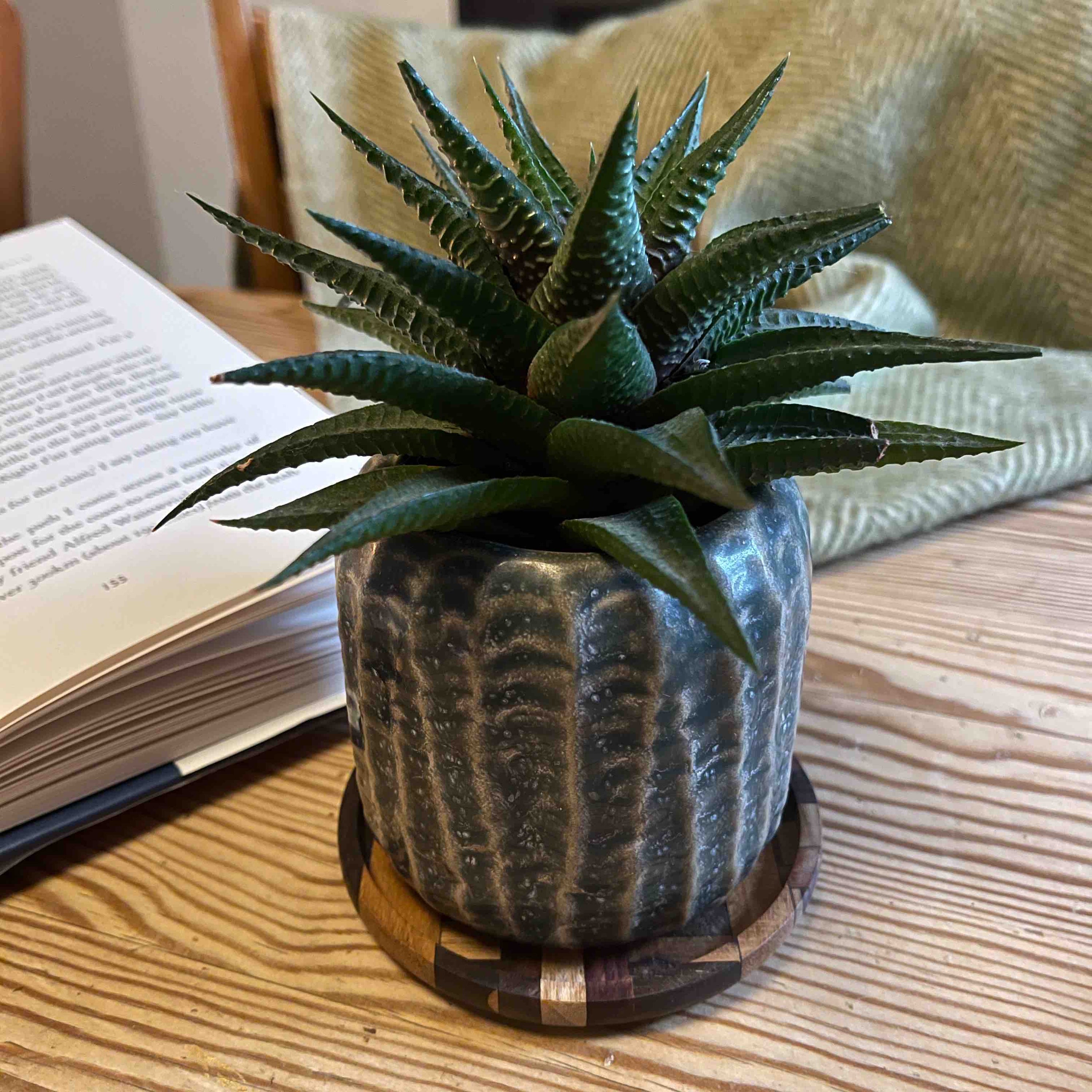 A set of unique handmade end grain wooden coasters made from reclaimed teak and rosewood, showcasing rich grain patterns and deep tones.
