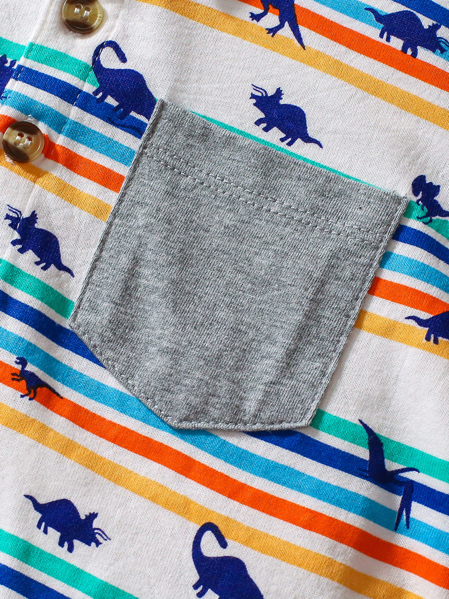 A grey long-sleeve shirt featuring a playful dinosaur print and striped pattern, perfect for boys aged 12 months to 10 years.