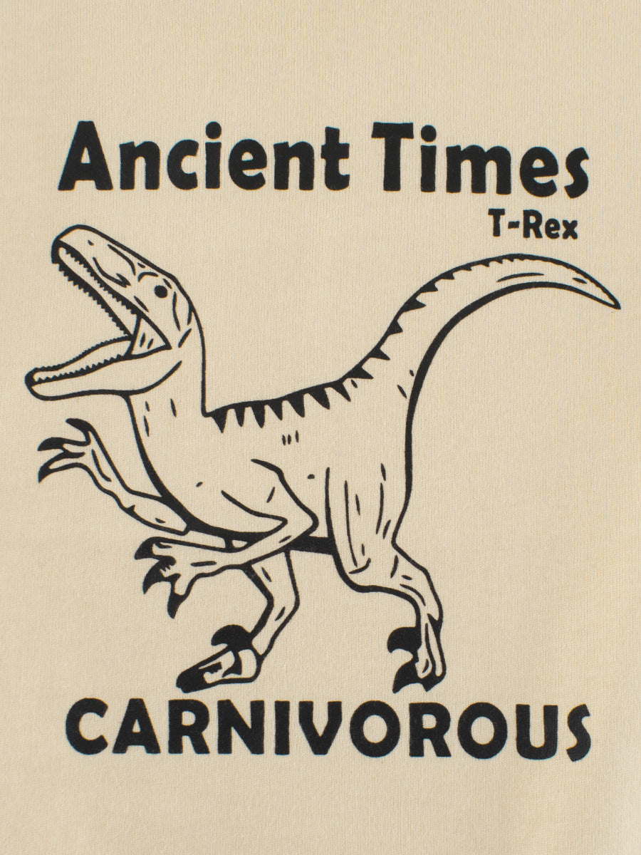 Autumn Baby Boys outfit featuring dinosaur and letter prints in color patchwork design, made from soft cotton material.