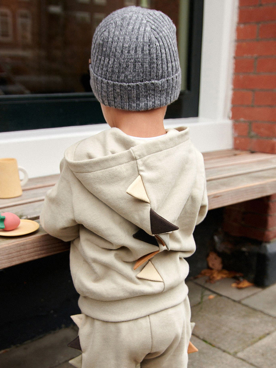 High Quality Long Sleeves Top for Boys featuring a playful dinosaur design in grey cotton, perfect for spring and autumn wear.